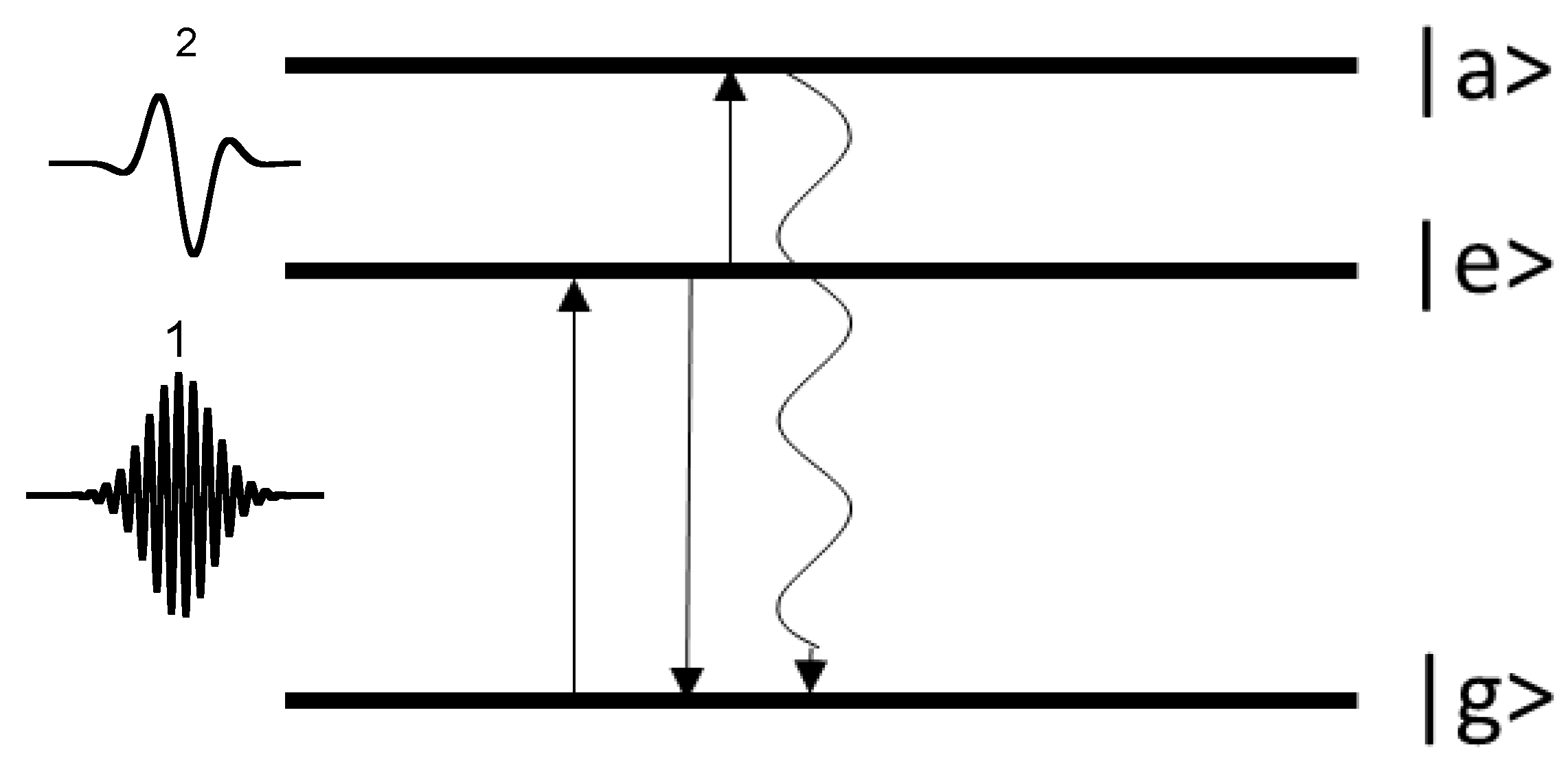 Entropy 25 01134 g001