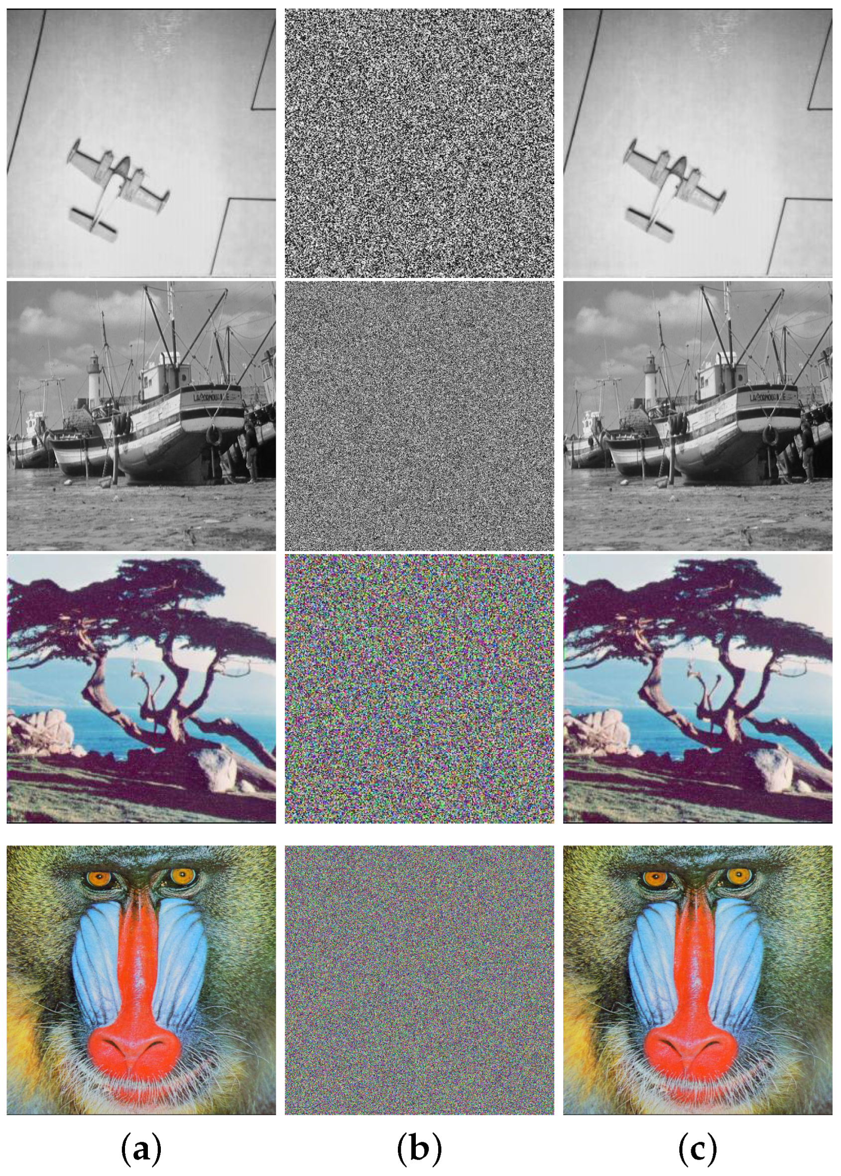 Entropy 25 01147 g010