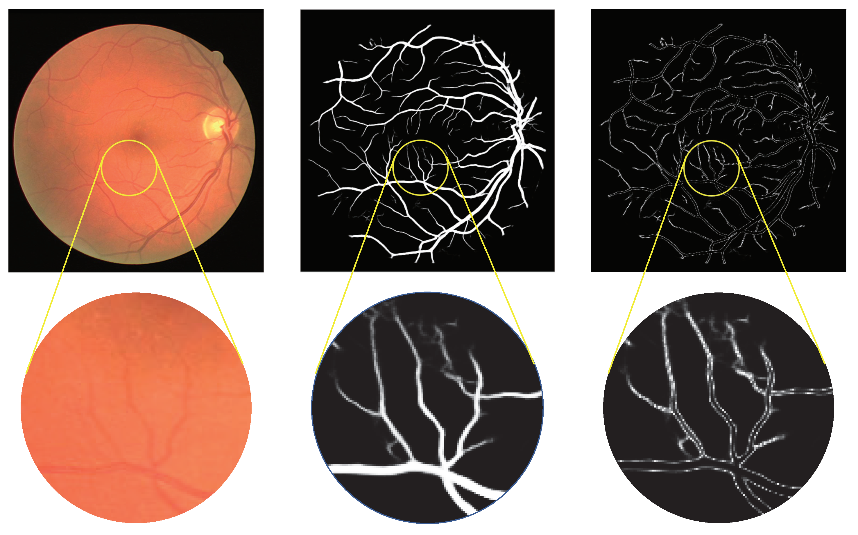 Entropy 25 01148 g005