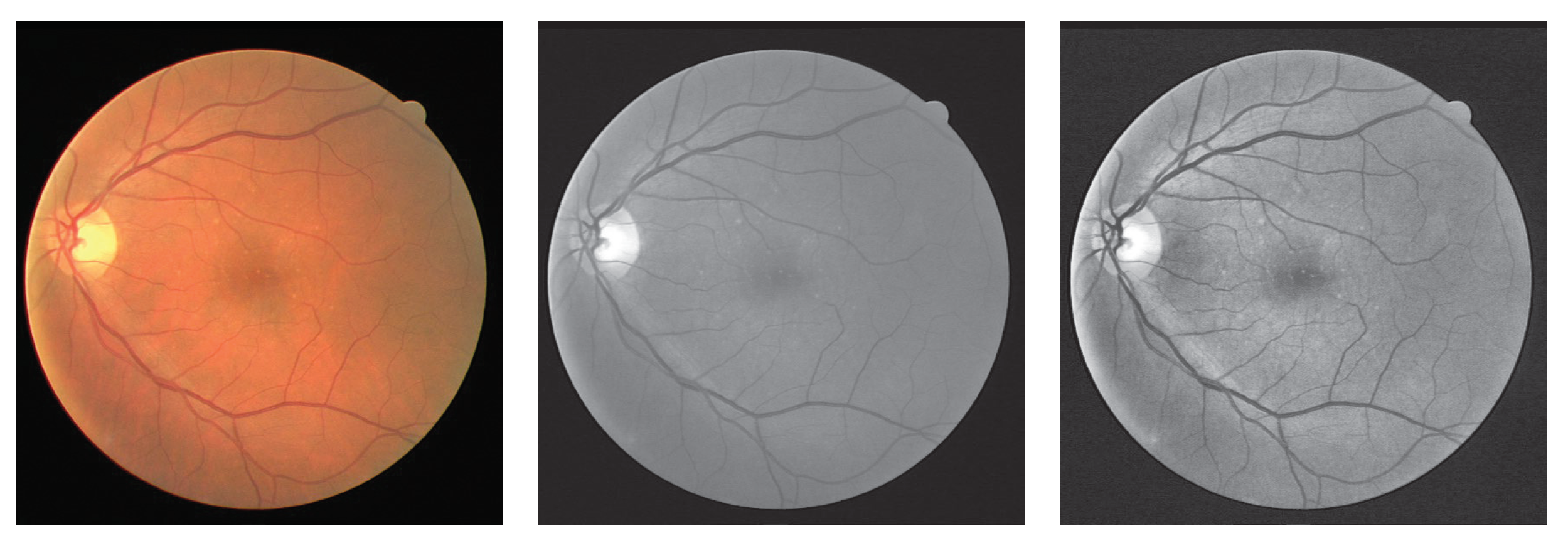 Entropy 25 01148 g007