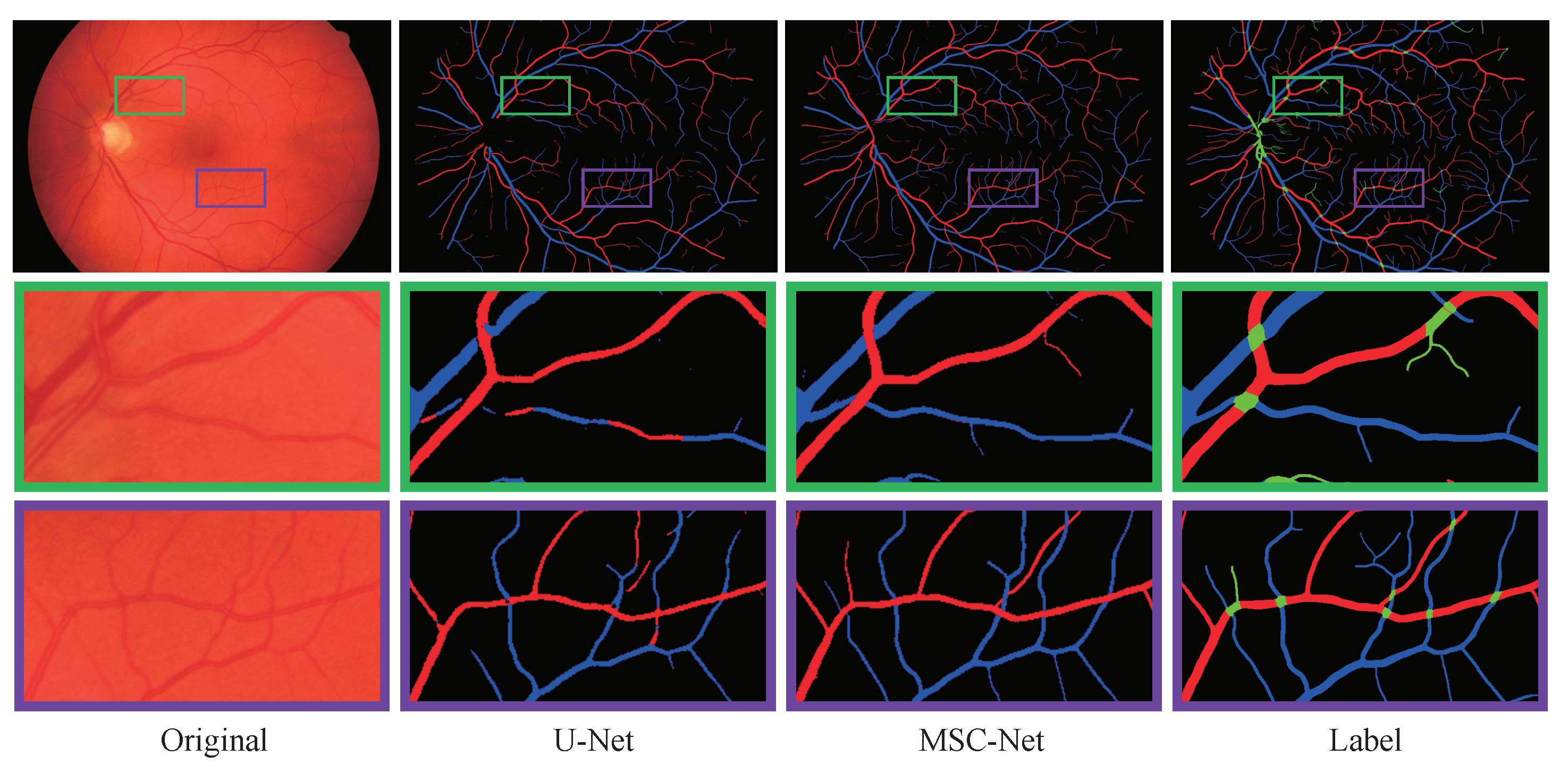 Entropy 25 01148 g010