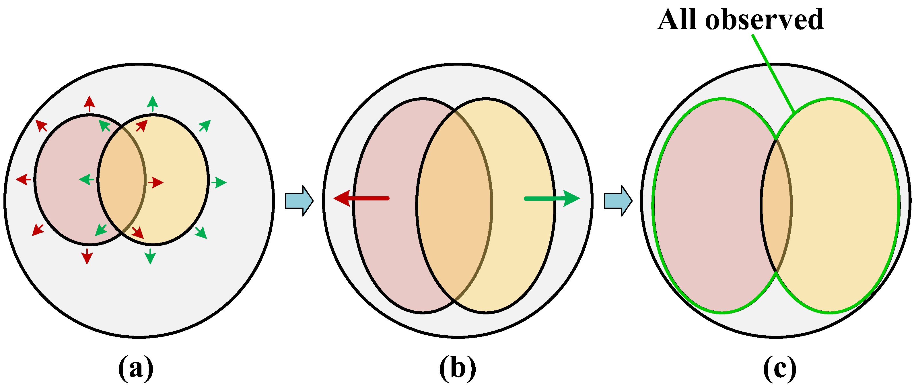Entropy 25 01154 g002 Entropy 25 01154 g002