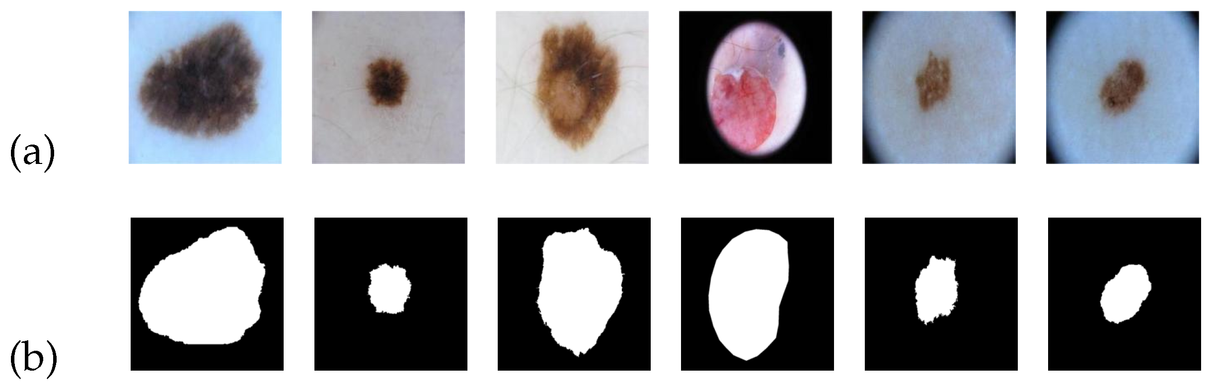 Entropy 25 01169 g005