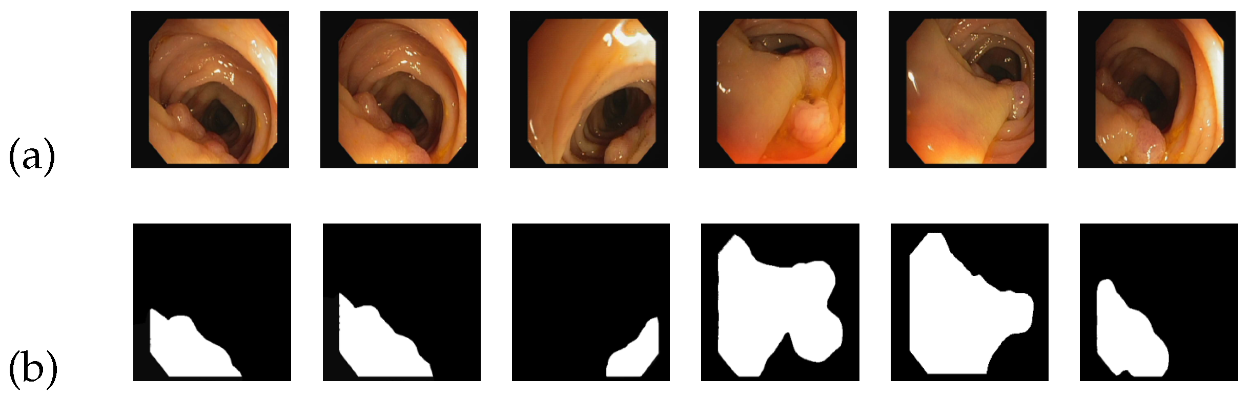 Entropy 25 01169 g006