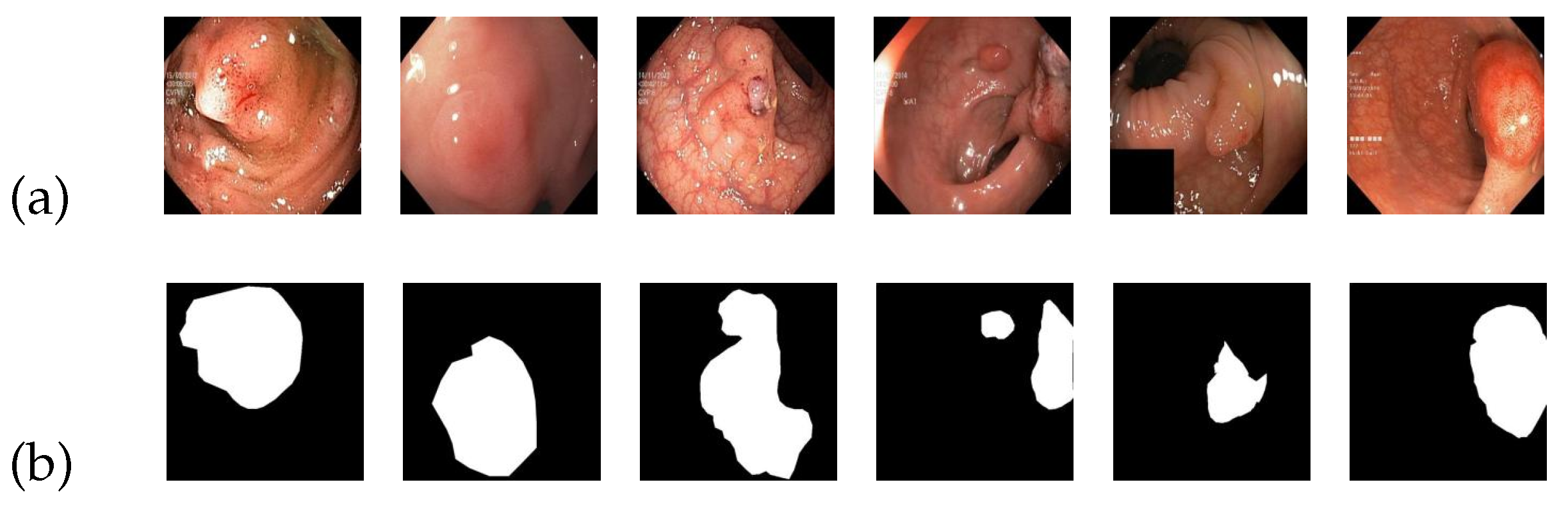 Entropy 25 01169 g007