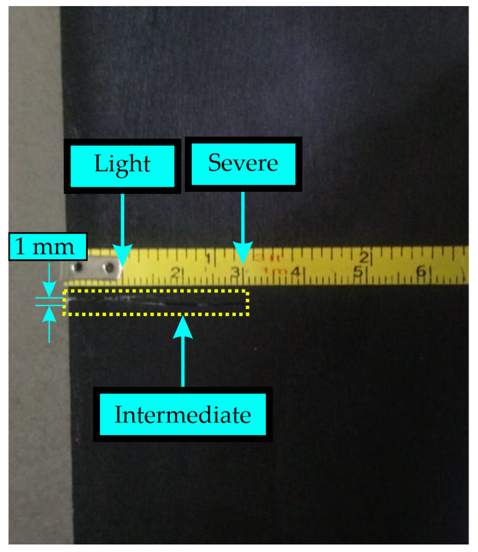 Entropy 25 01188 g008
