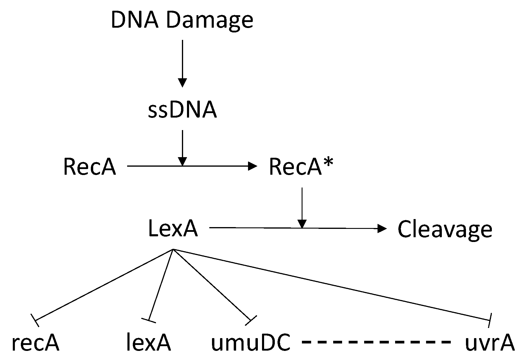 Entropy 25 01214 g009 Entropy 25 01214 g009