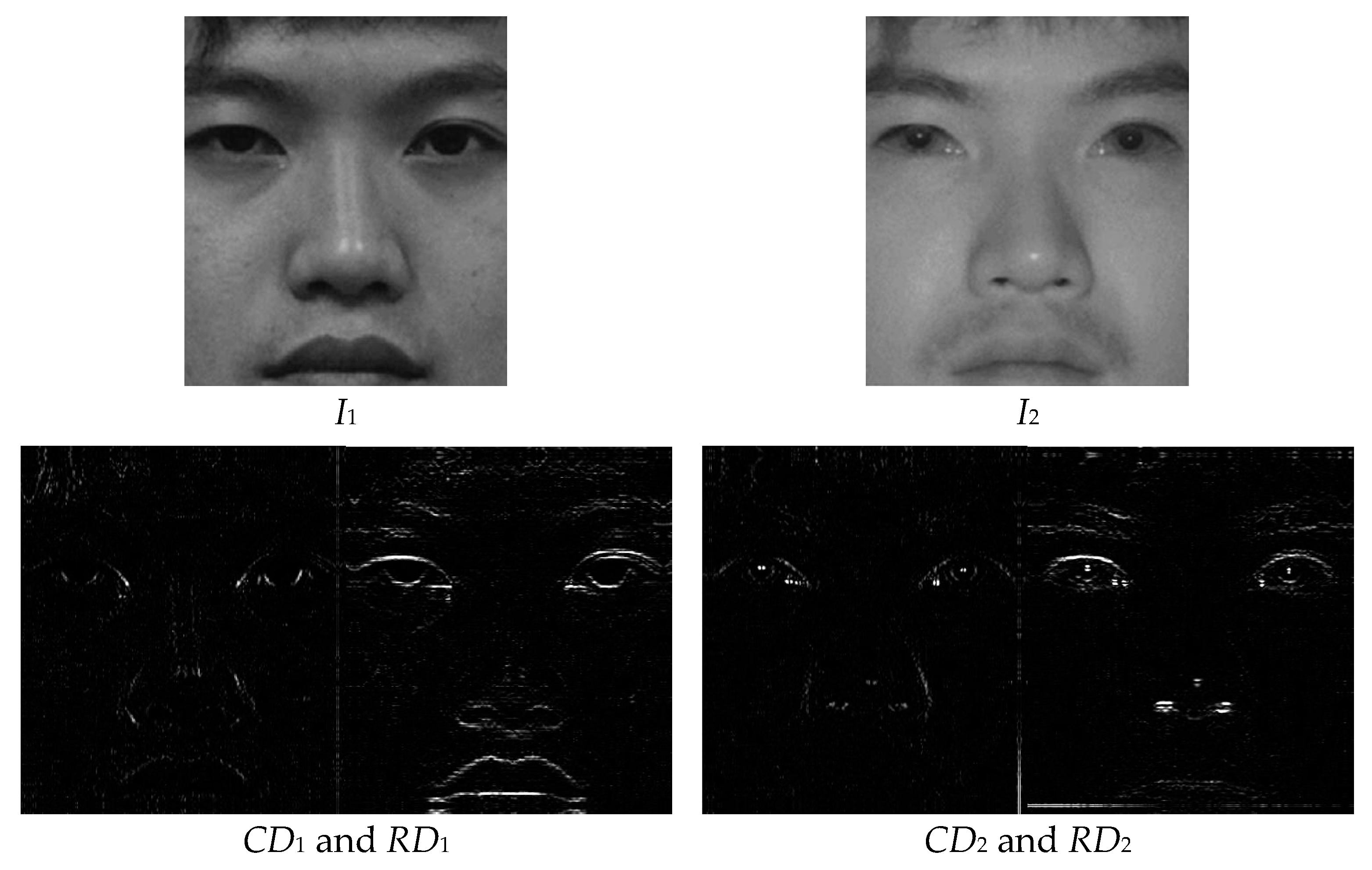 Entropy 25 01215 g002