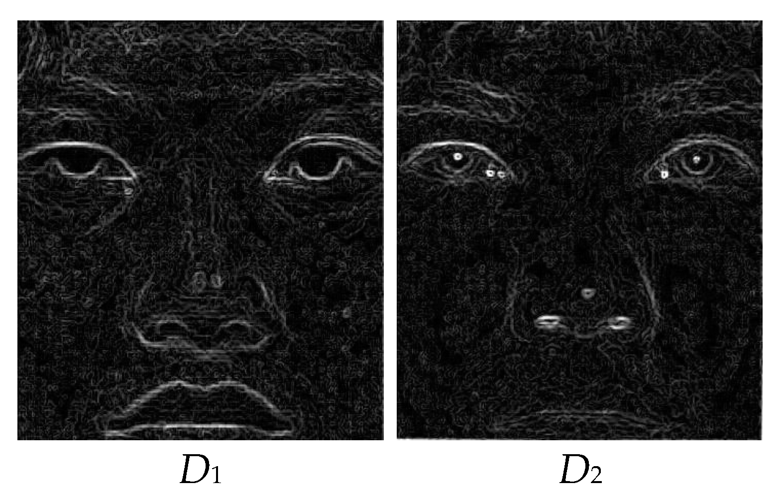 Entropy 25 01215 g003