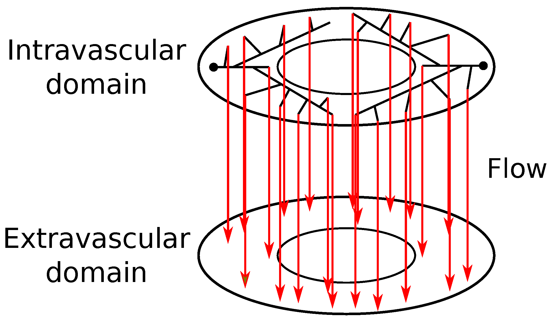 Entropy 25 01229 g002