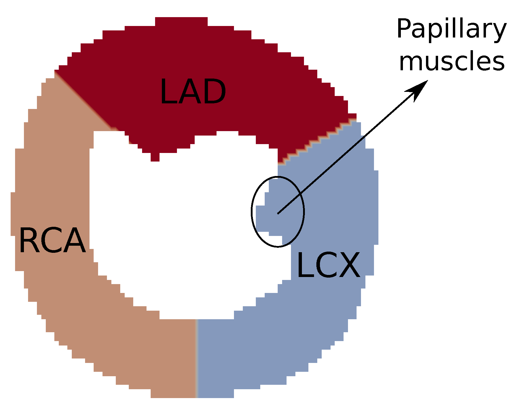 Entropy 25 01229 g007