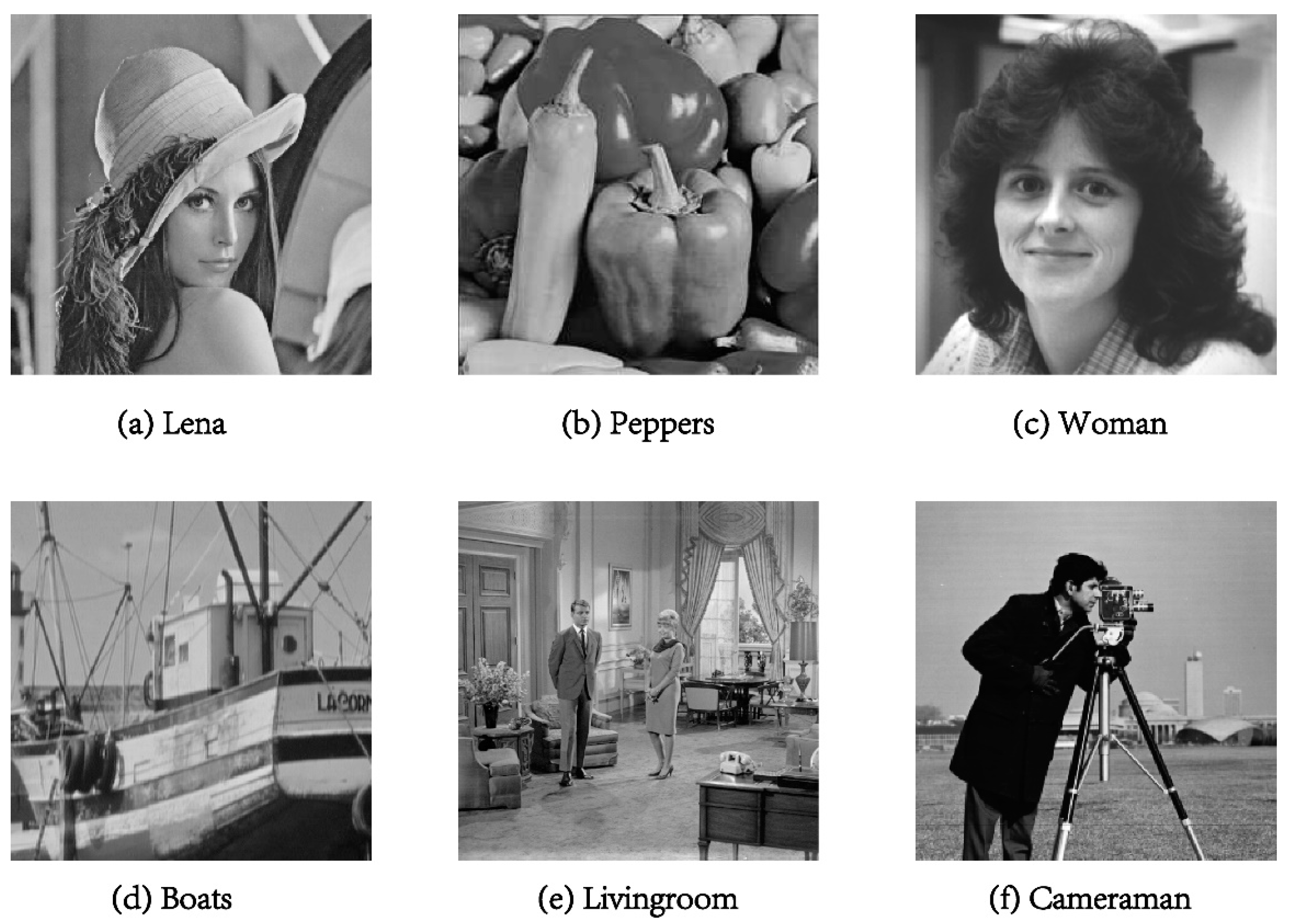 Entropy 25 01248 g002