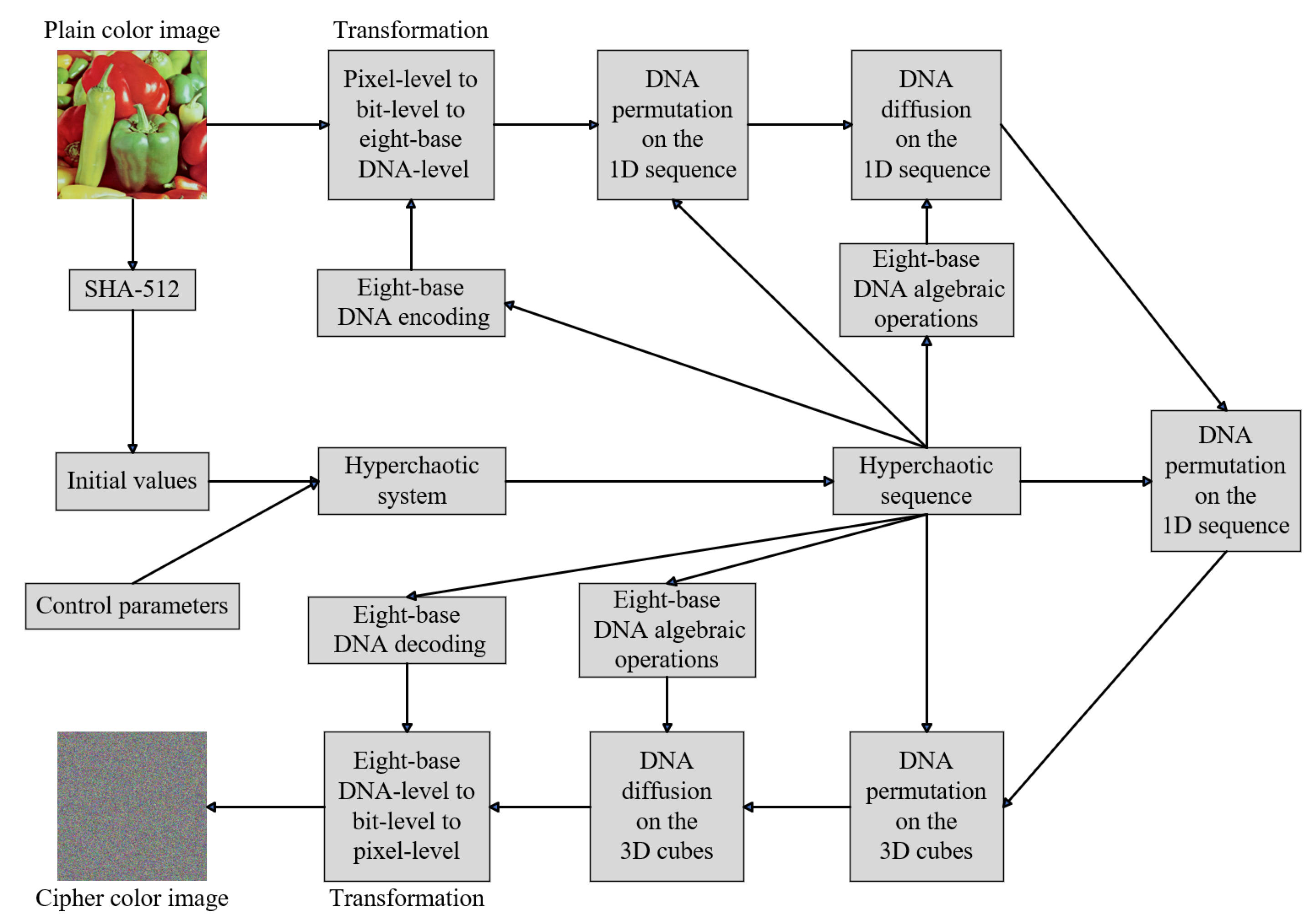 Entropy 25 01268 g004