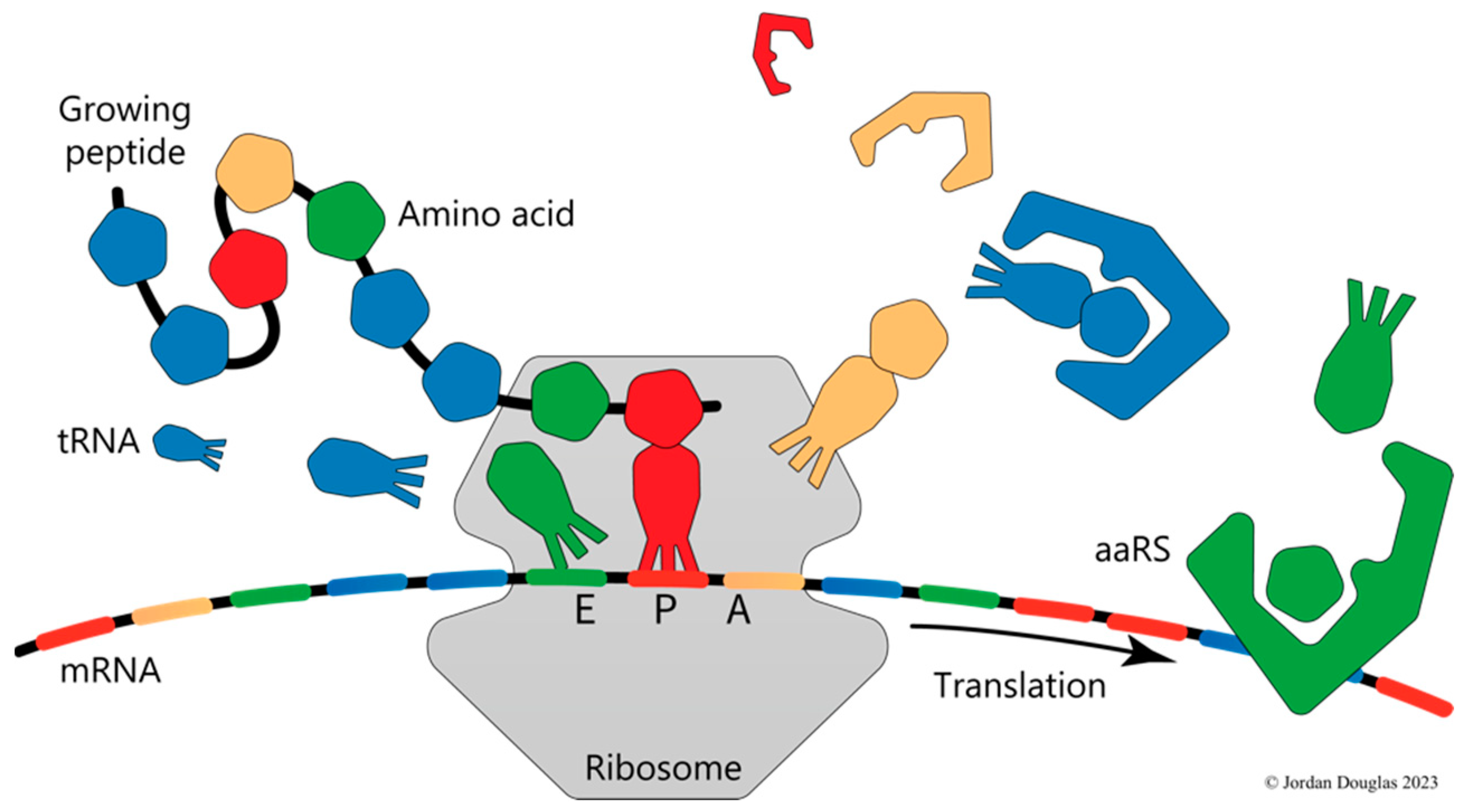 Entropy 25 01281 g001