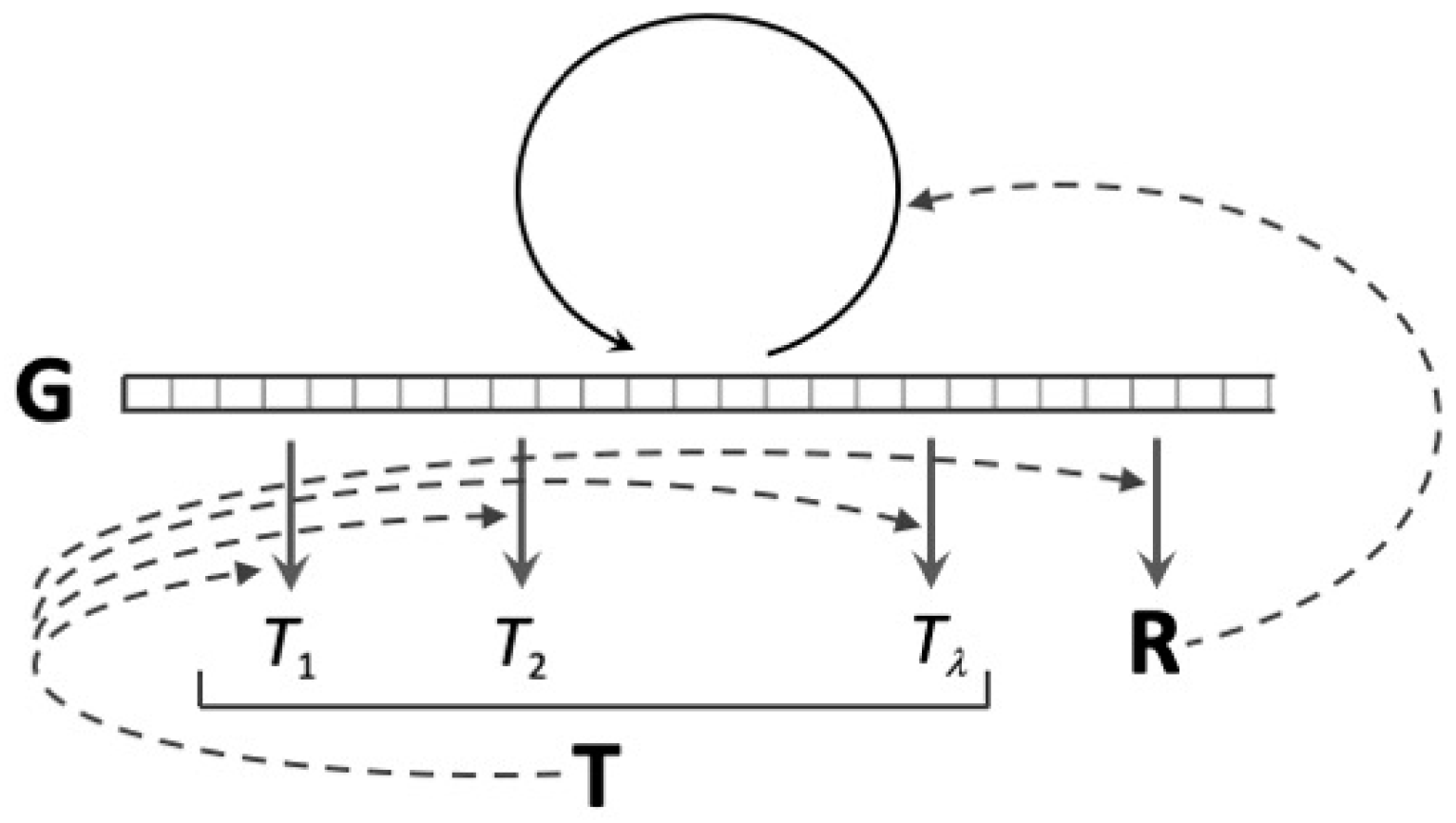 Entropy 25 01281 g004