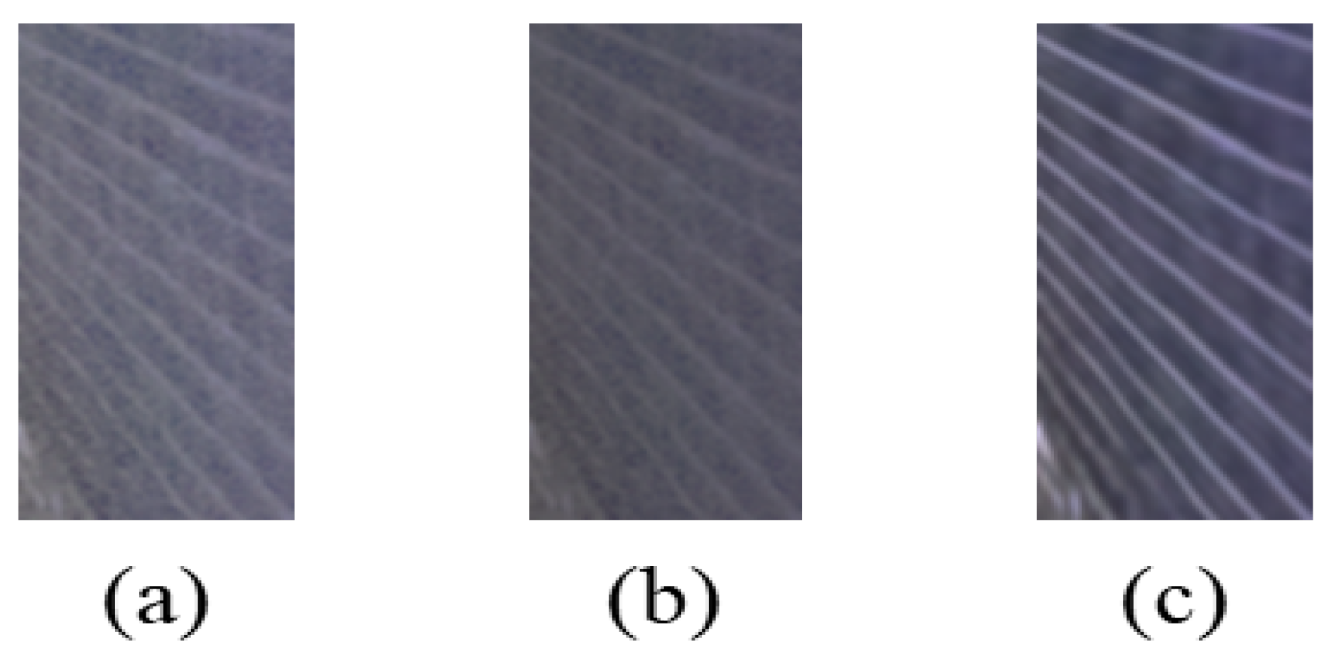 Entropy 25 01282 g014