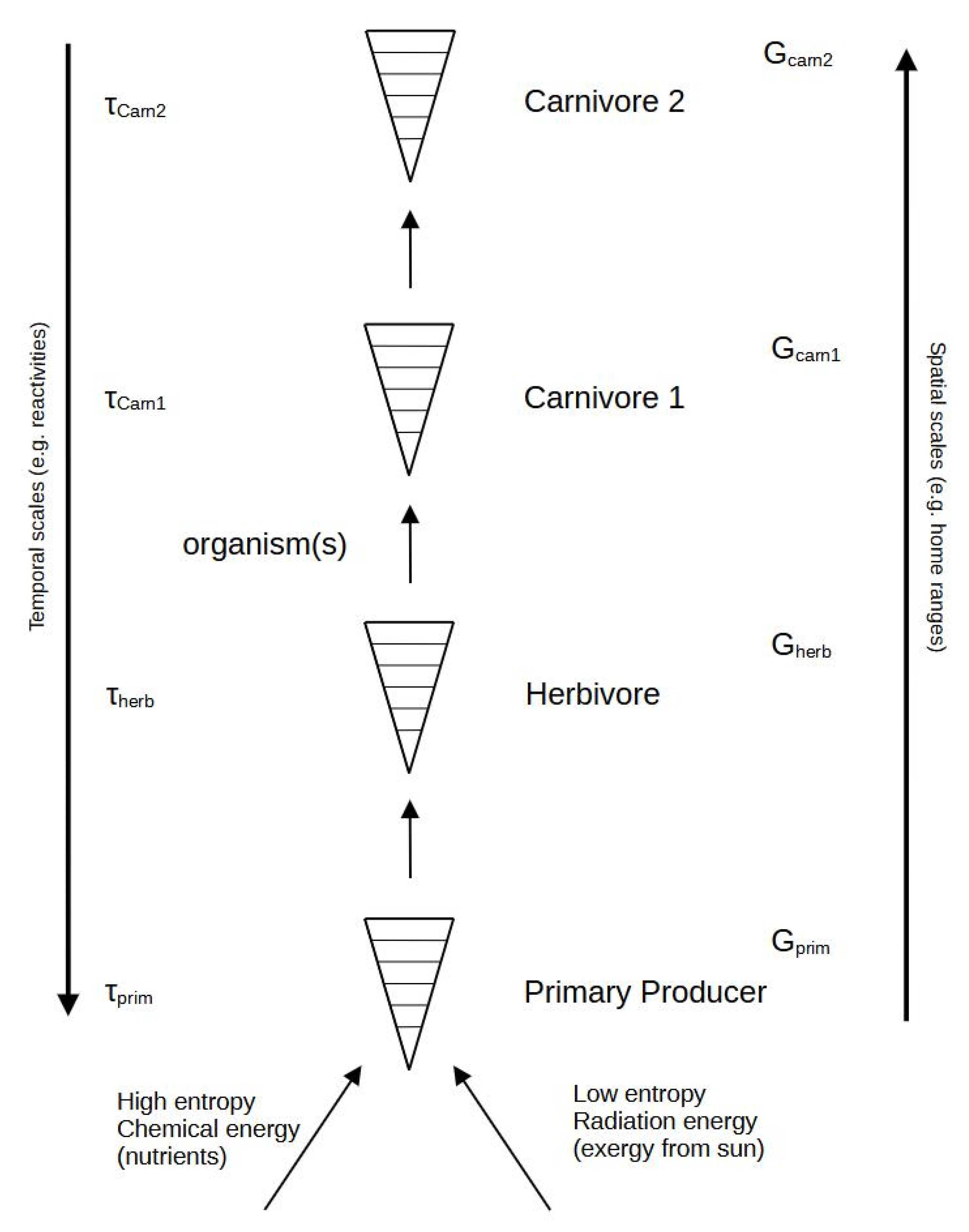Entropy 25 01288 g002