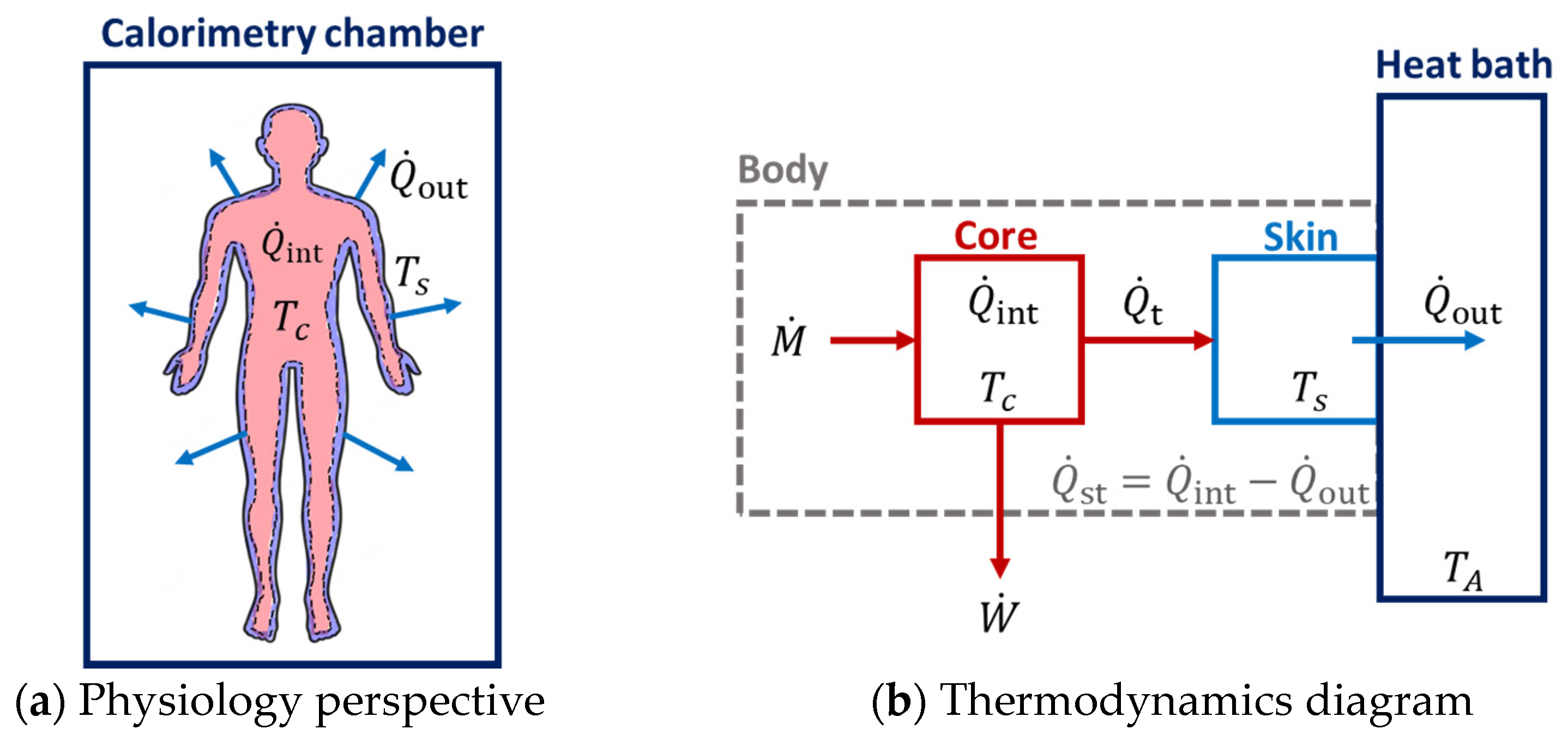 Entropy 25 01290 g002