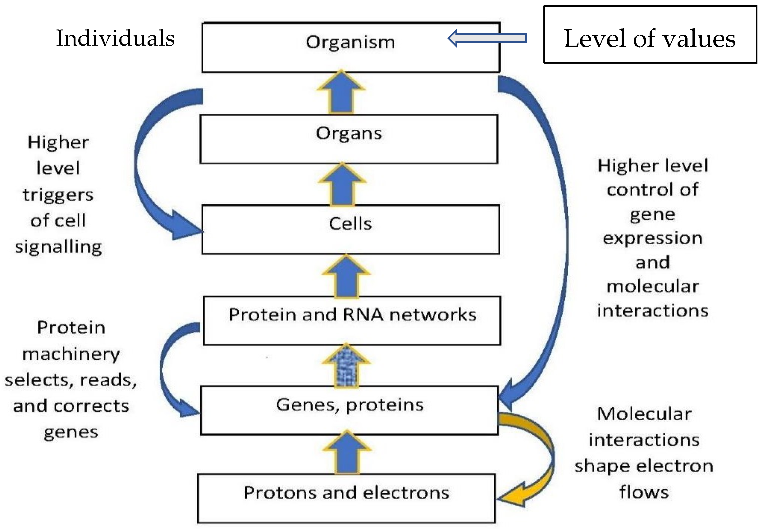 Entropy 25 01301 g001 Entropy 25 01301 g001