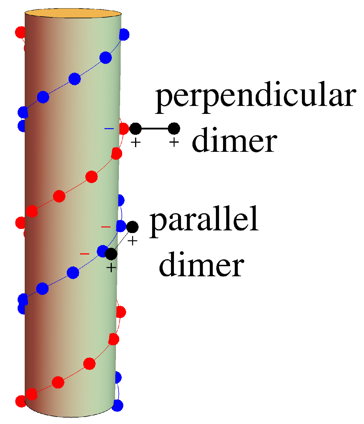 Entropy 25 01373 g004