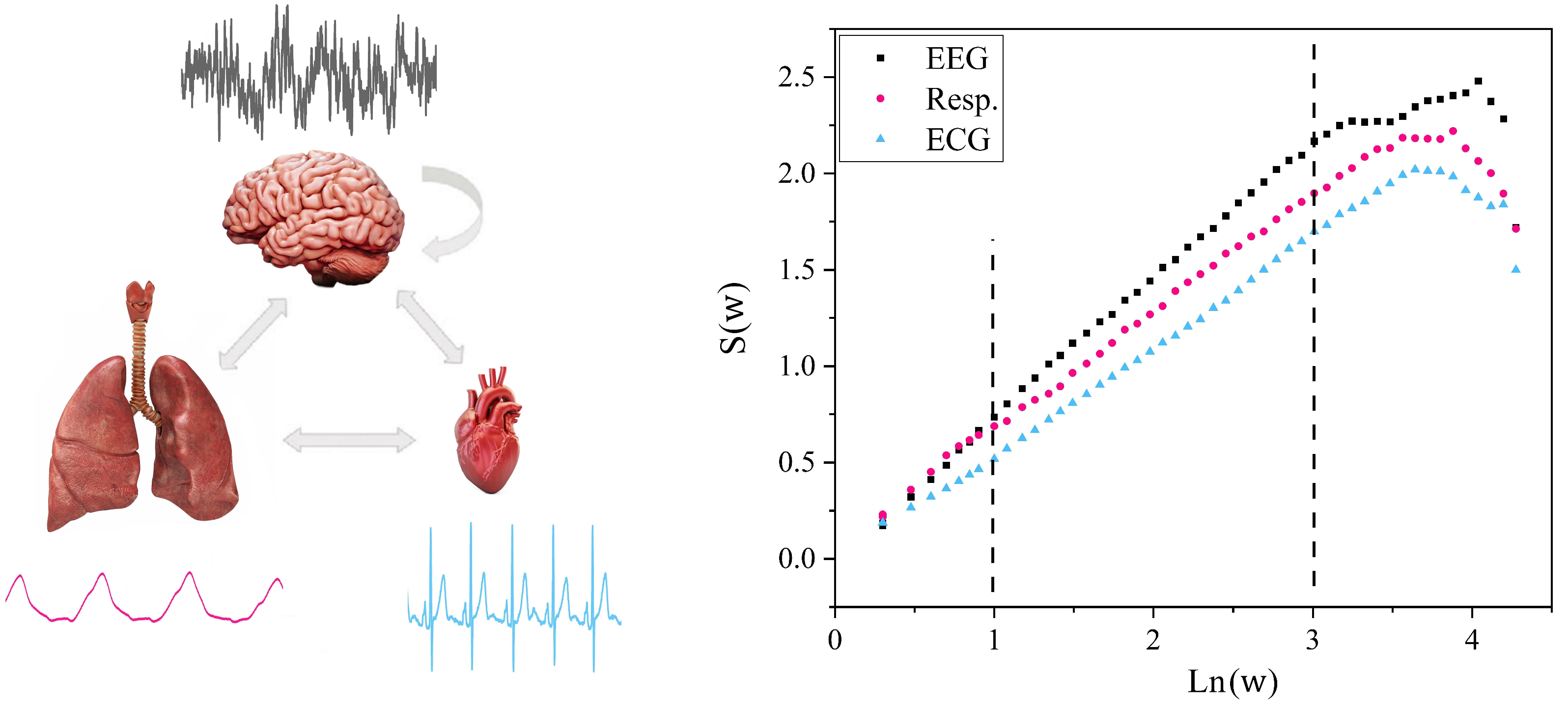 Entropy 25 01393 g001
