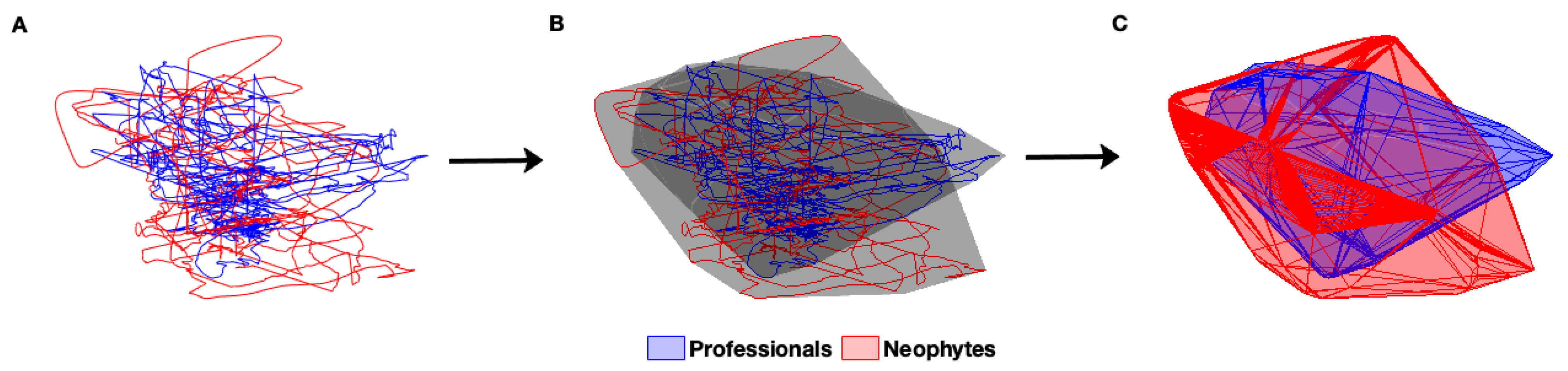 Entropy 25 01414 g003