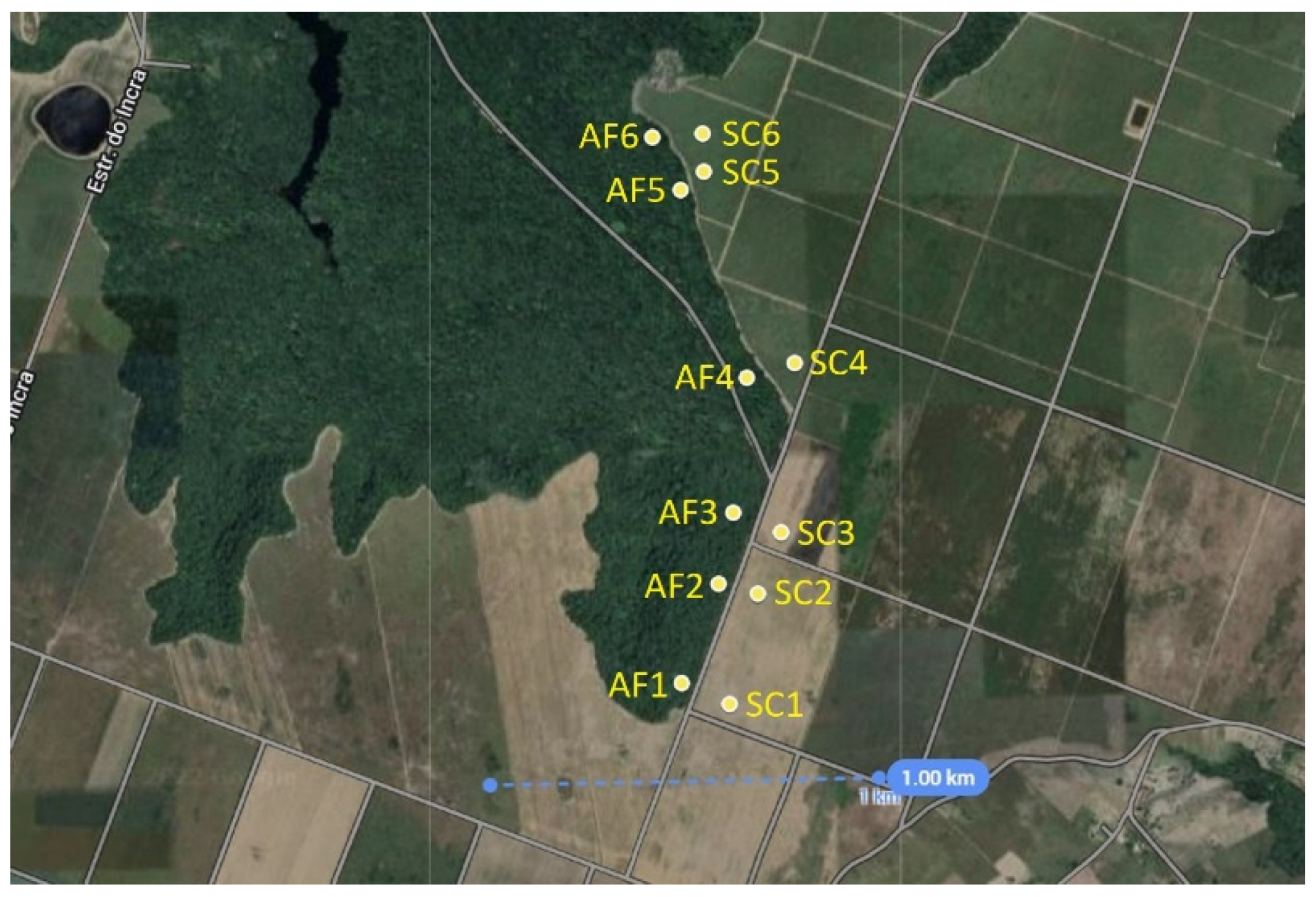 Entropy 25 01465 g001