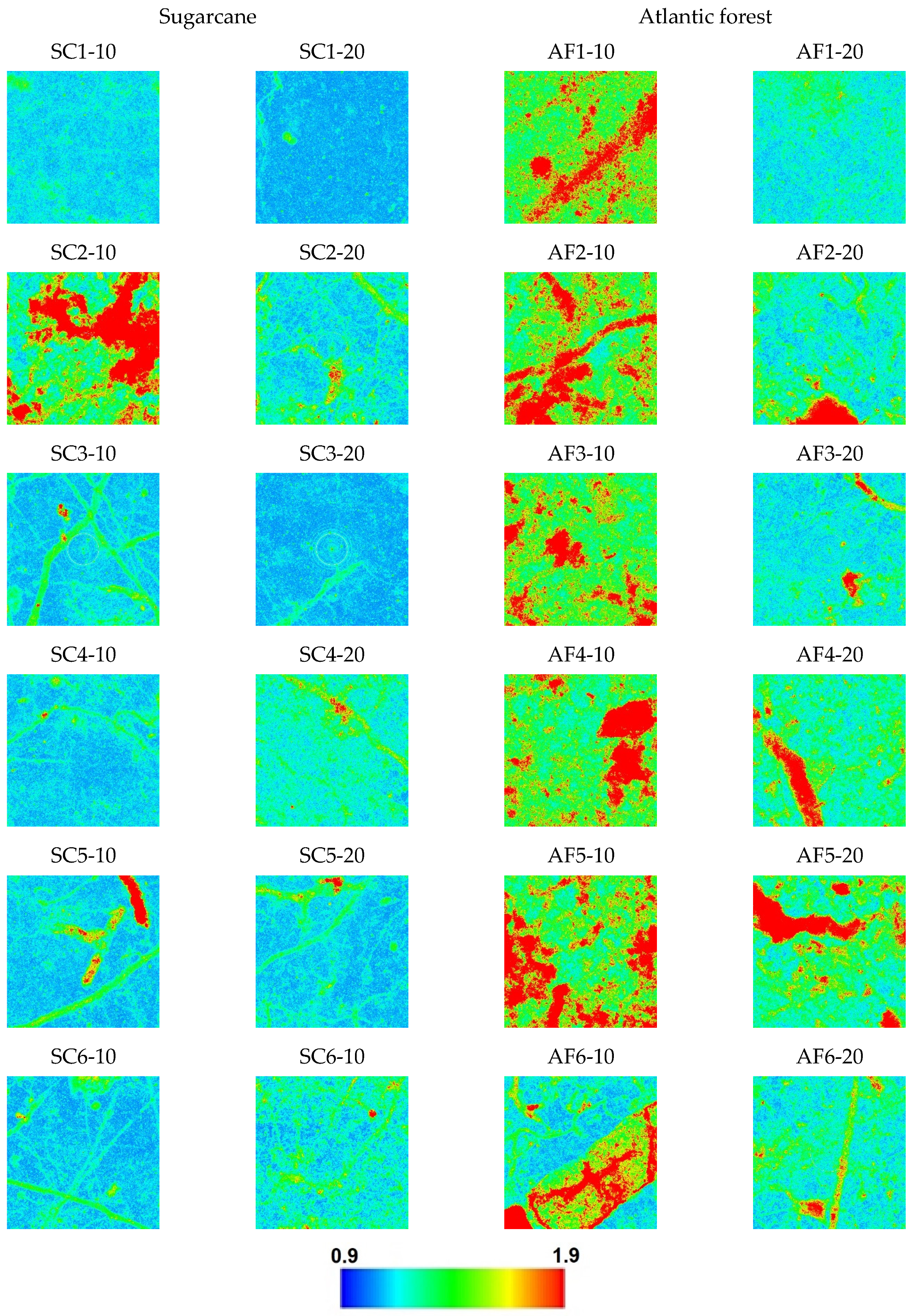 Entropy 25 01465 g004