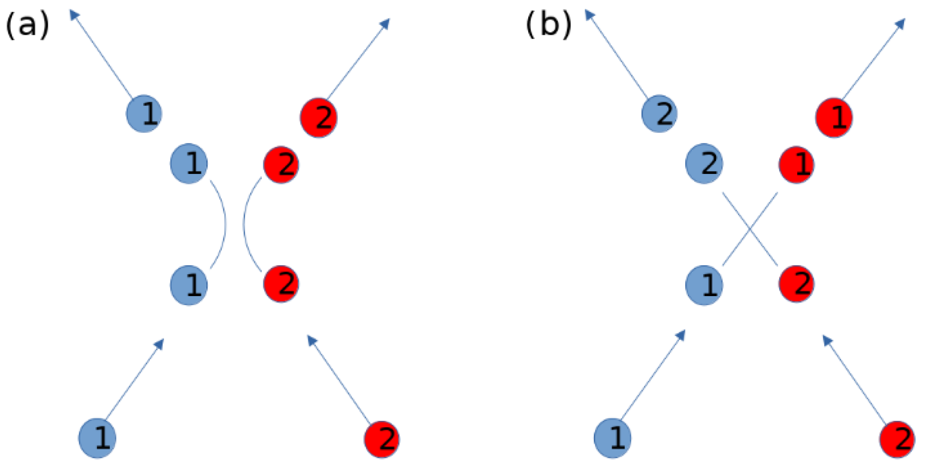 Complex Networks and Interacting Particle Systems