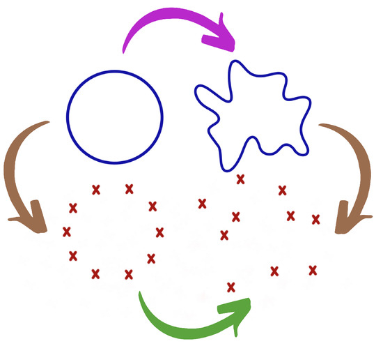 Amazon.co.jp: Topological Data Analysis for Scientific