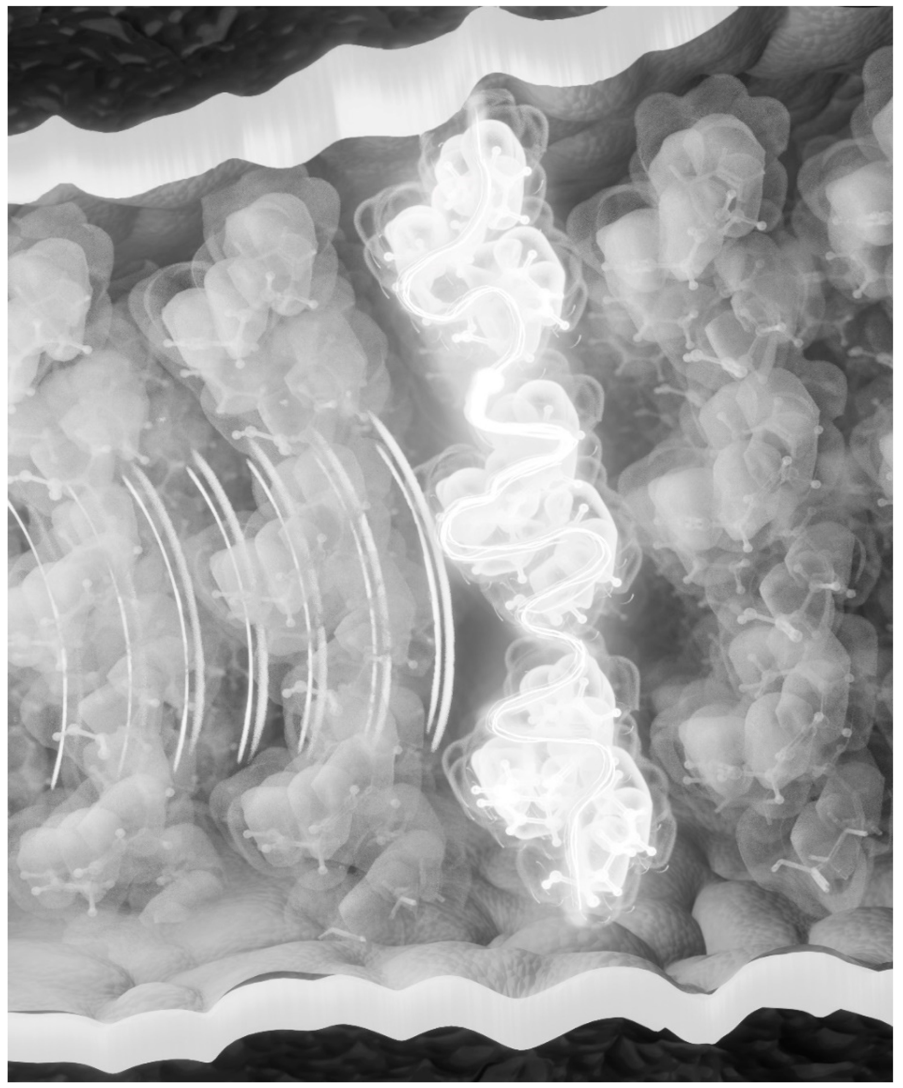 Entropy 25 01520 g001