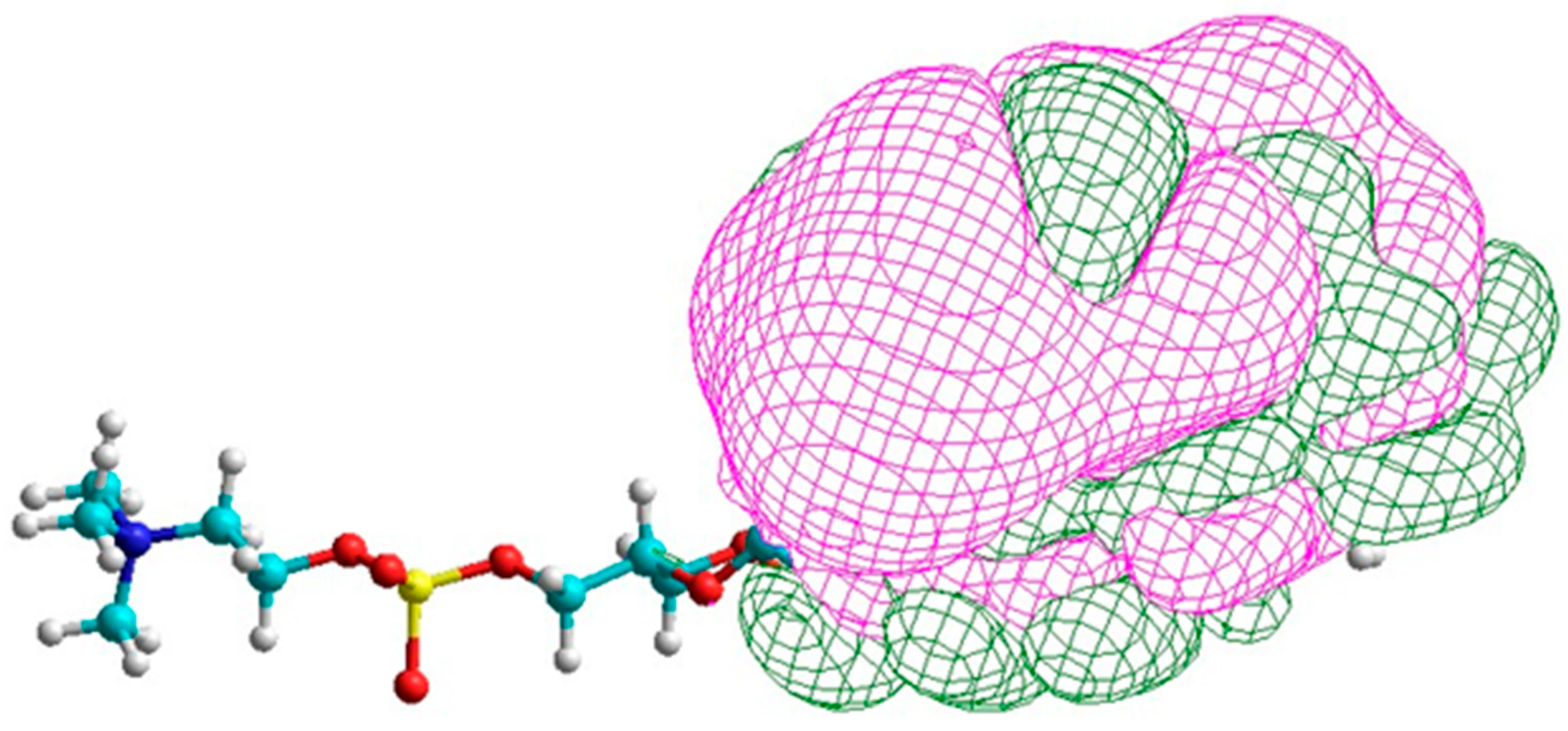 Entropy 25 01520 g005