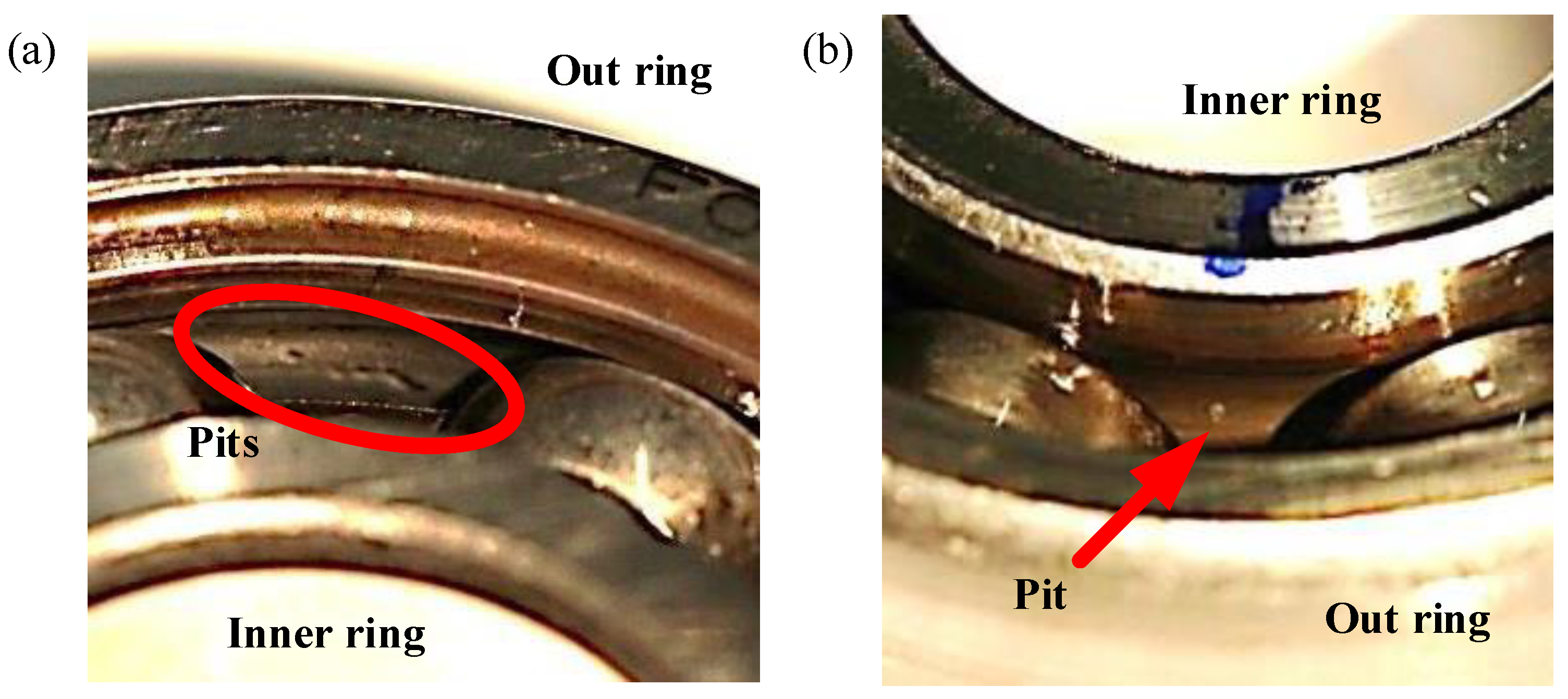 Entropy 25 01549 g004