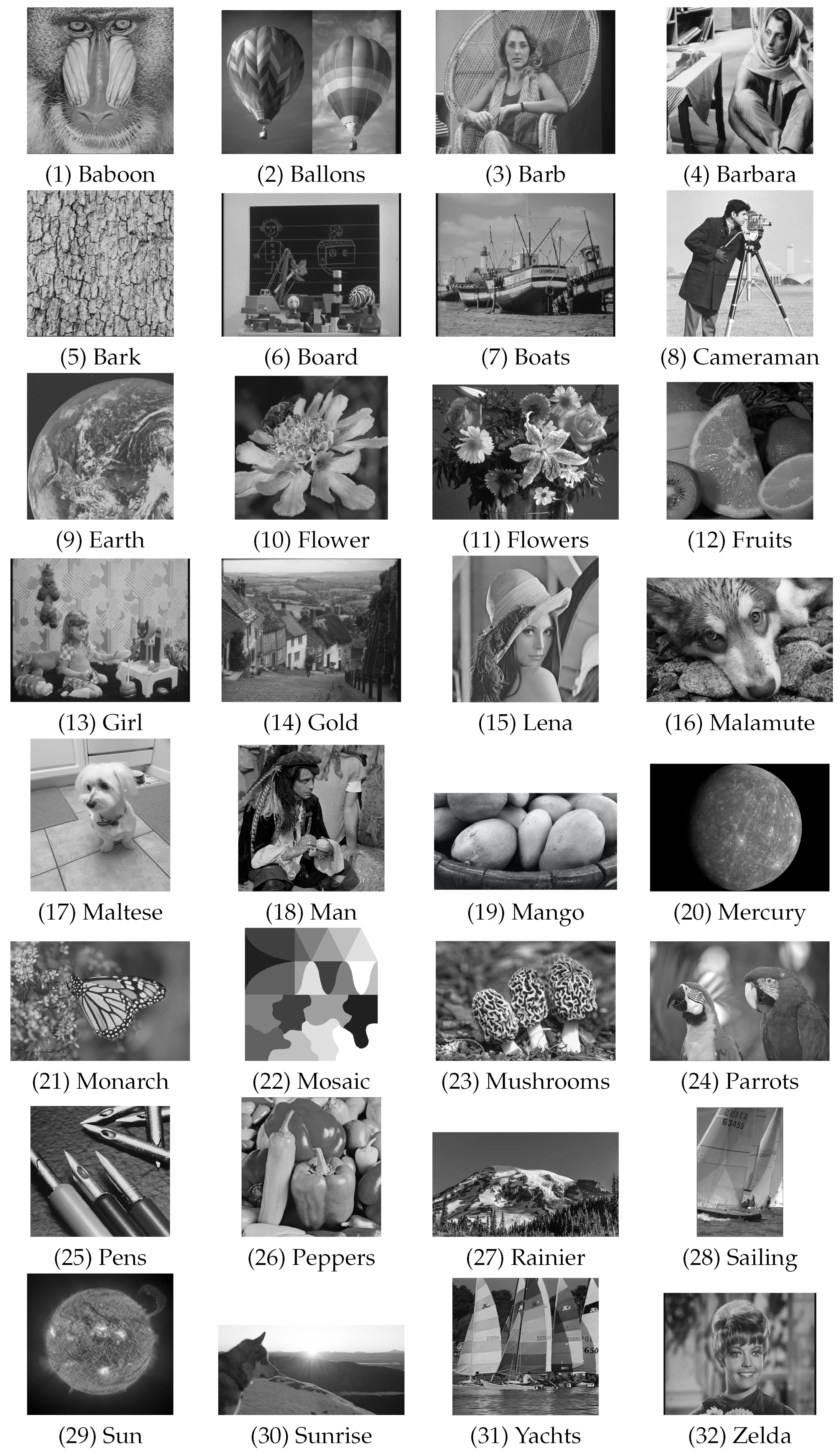 Entropy 25 01591 g002