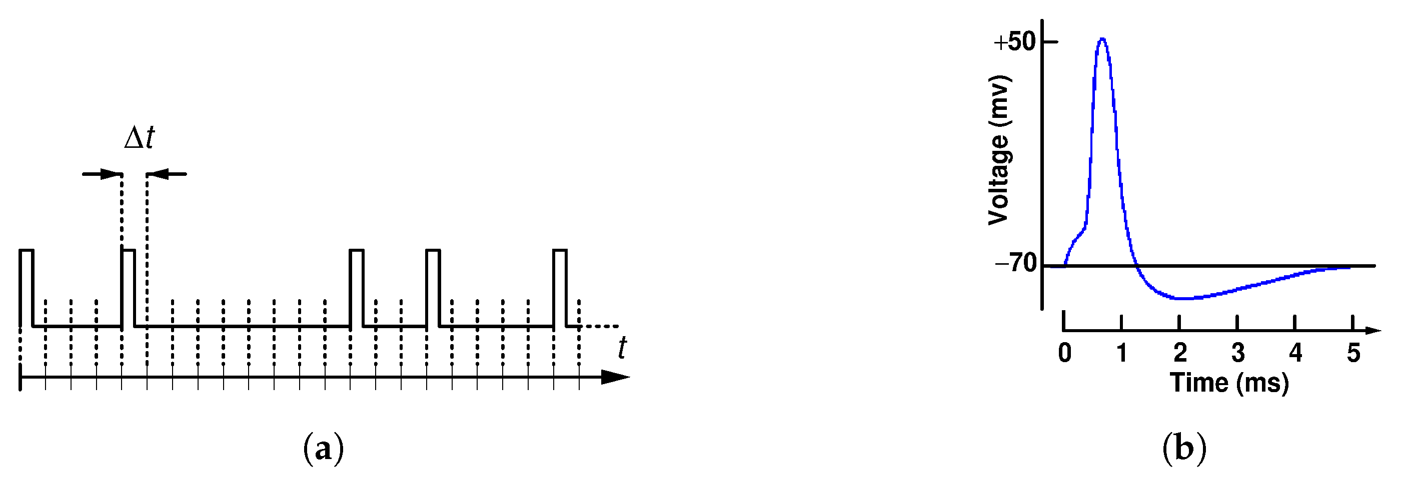 Entropy 25 01592 g001