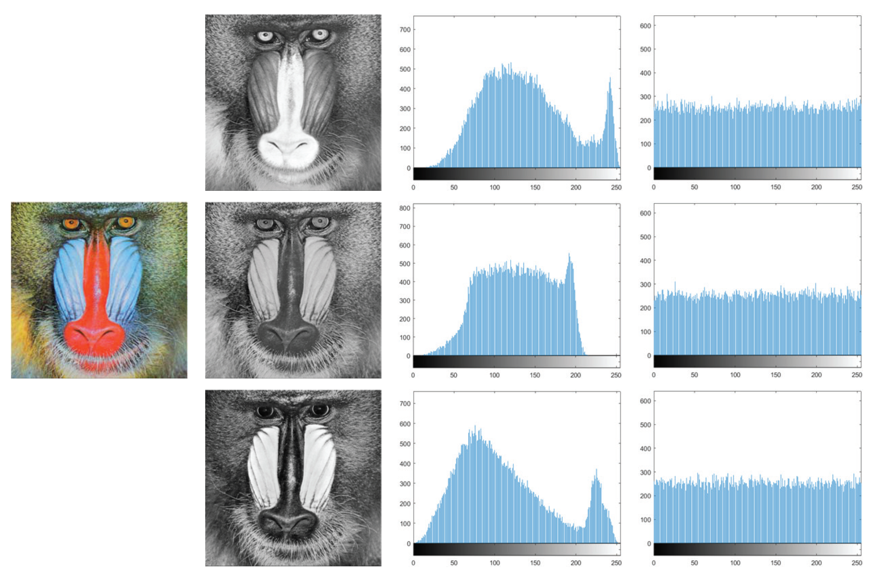 Entropy 25 01629 g019