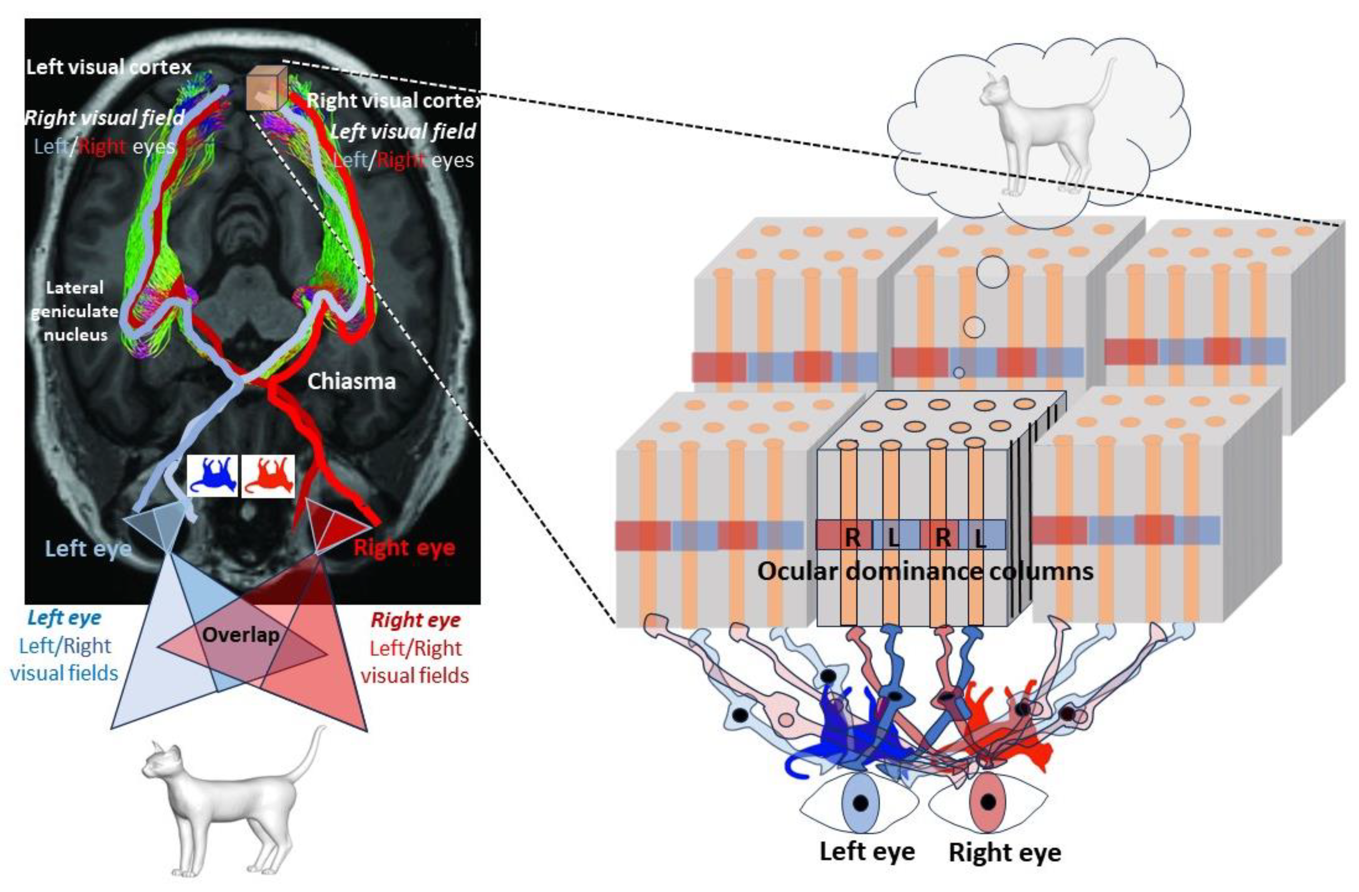Entropy 25 01645 g005