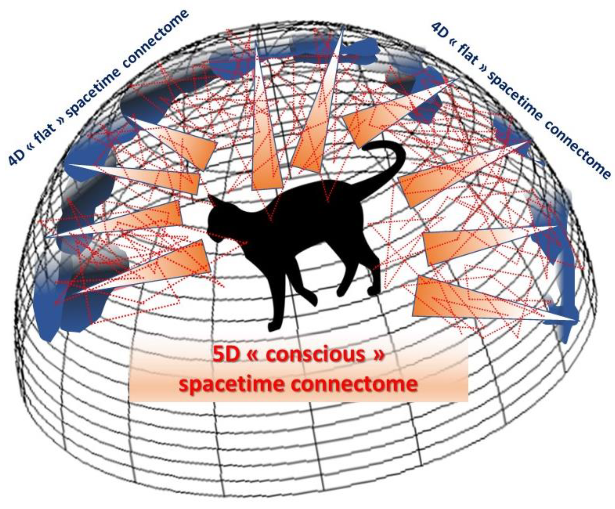 Entropy 25 01645 g006