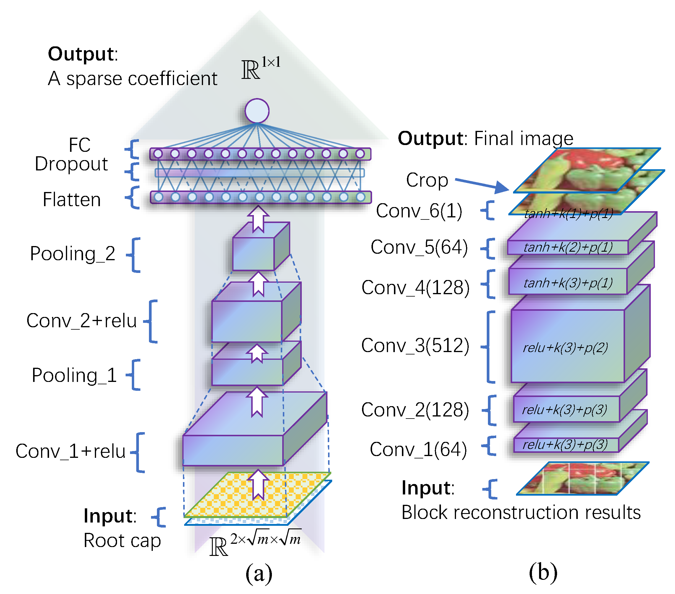 Entropy 25 01648 g002