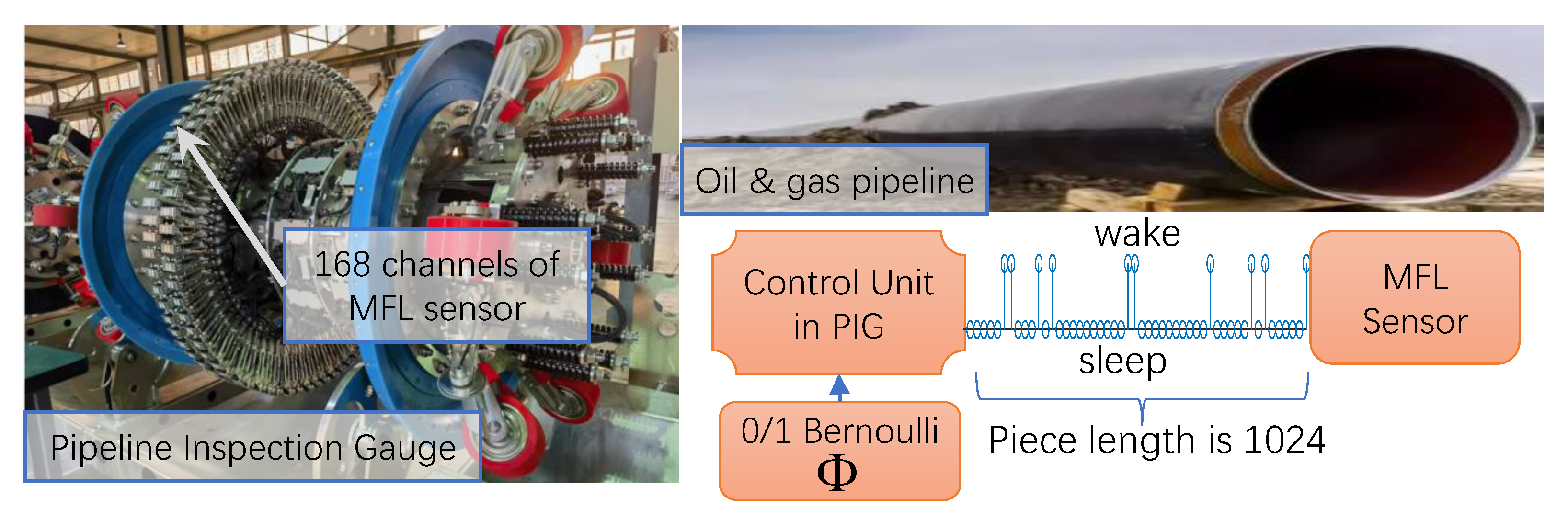 Entropy 25 01648 g005