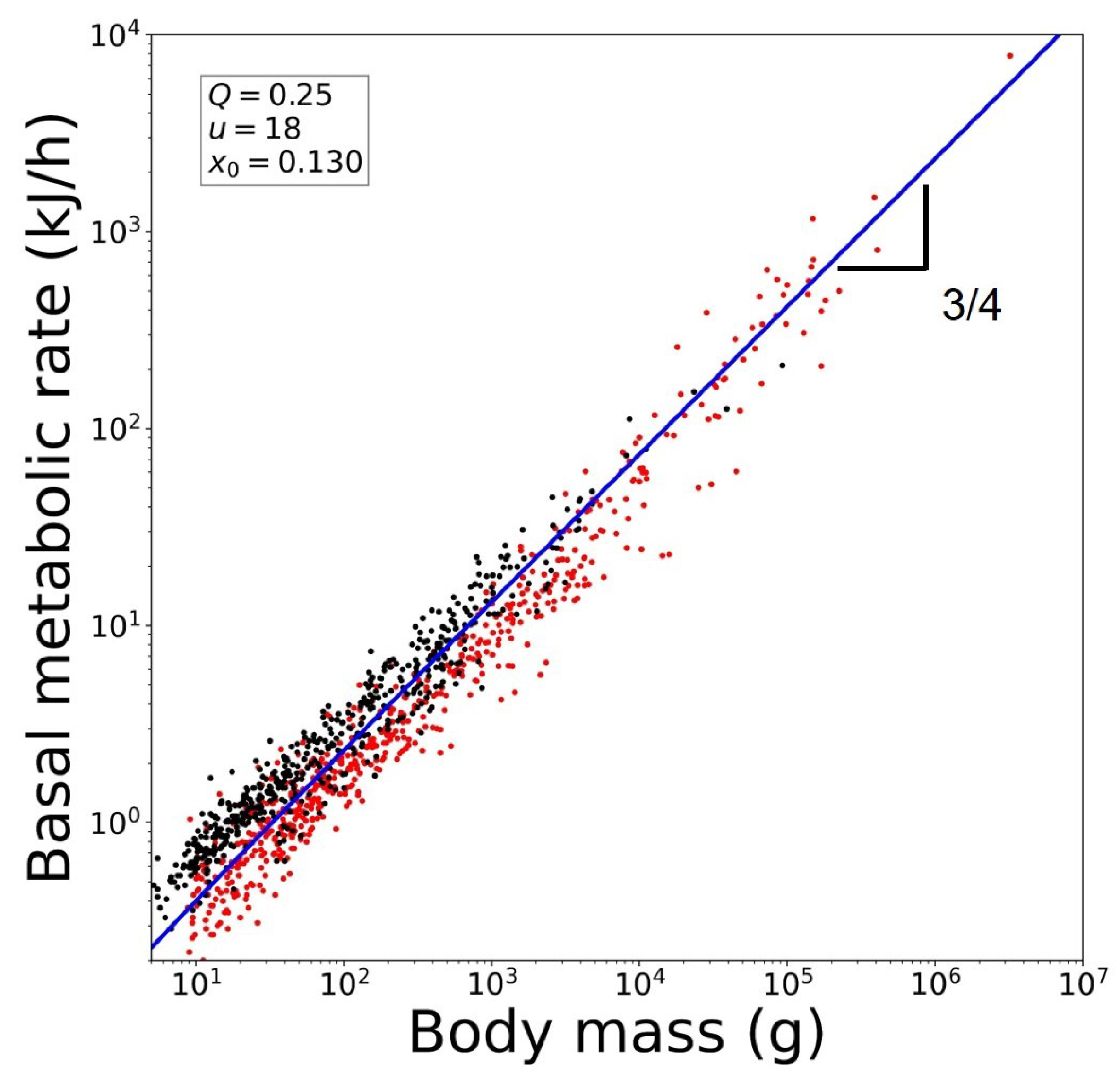 Entropy 26 00032 g005