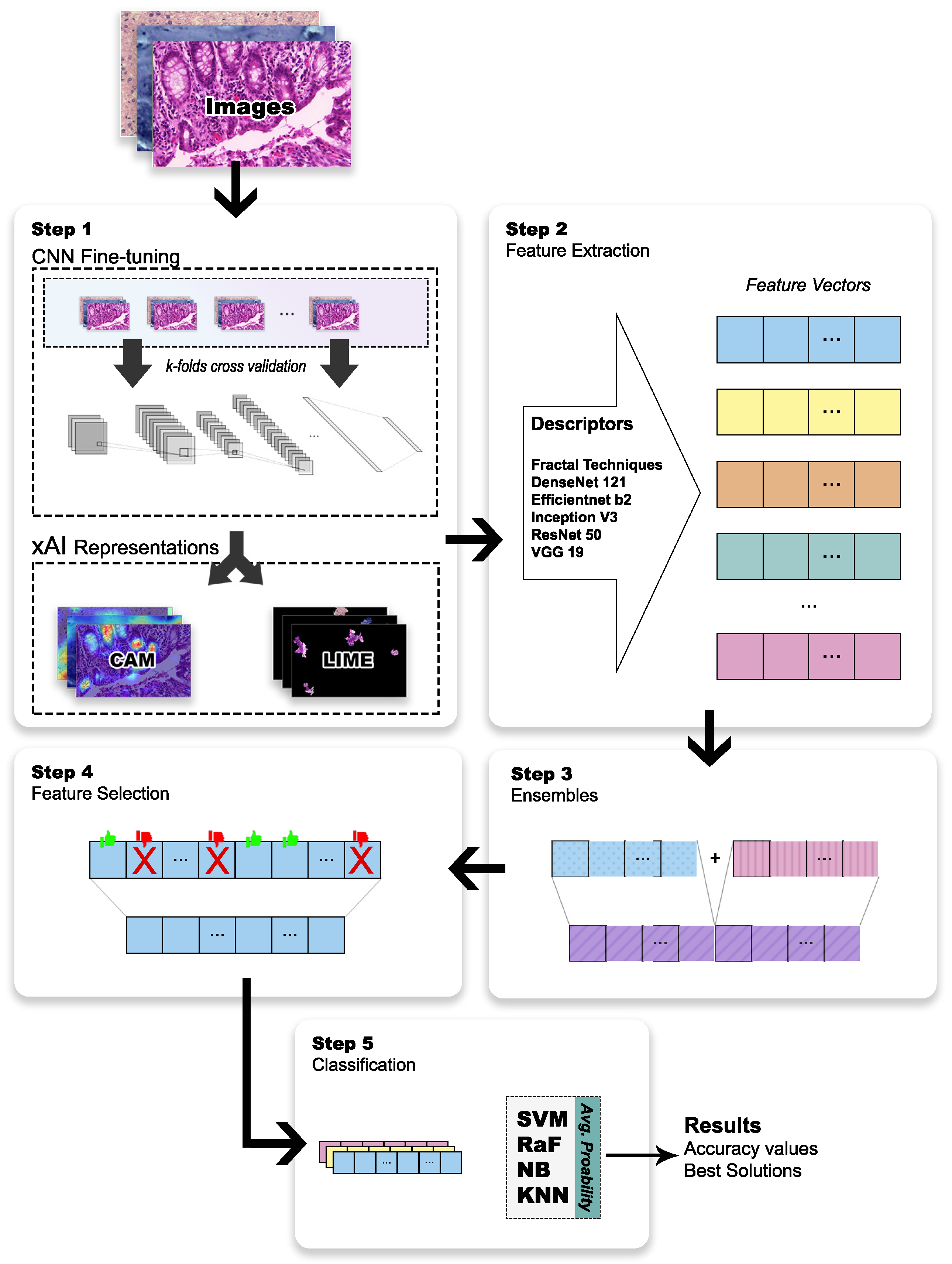 Entropy 26 00034 g001