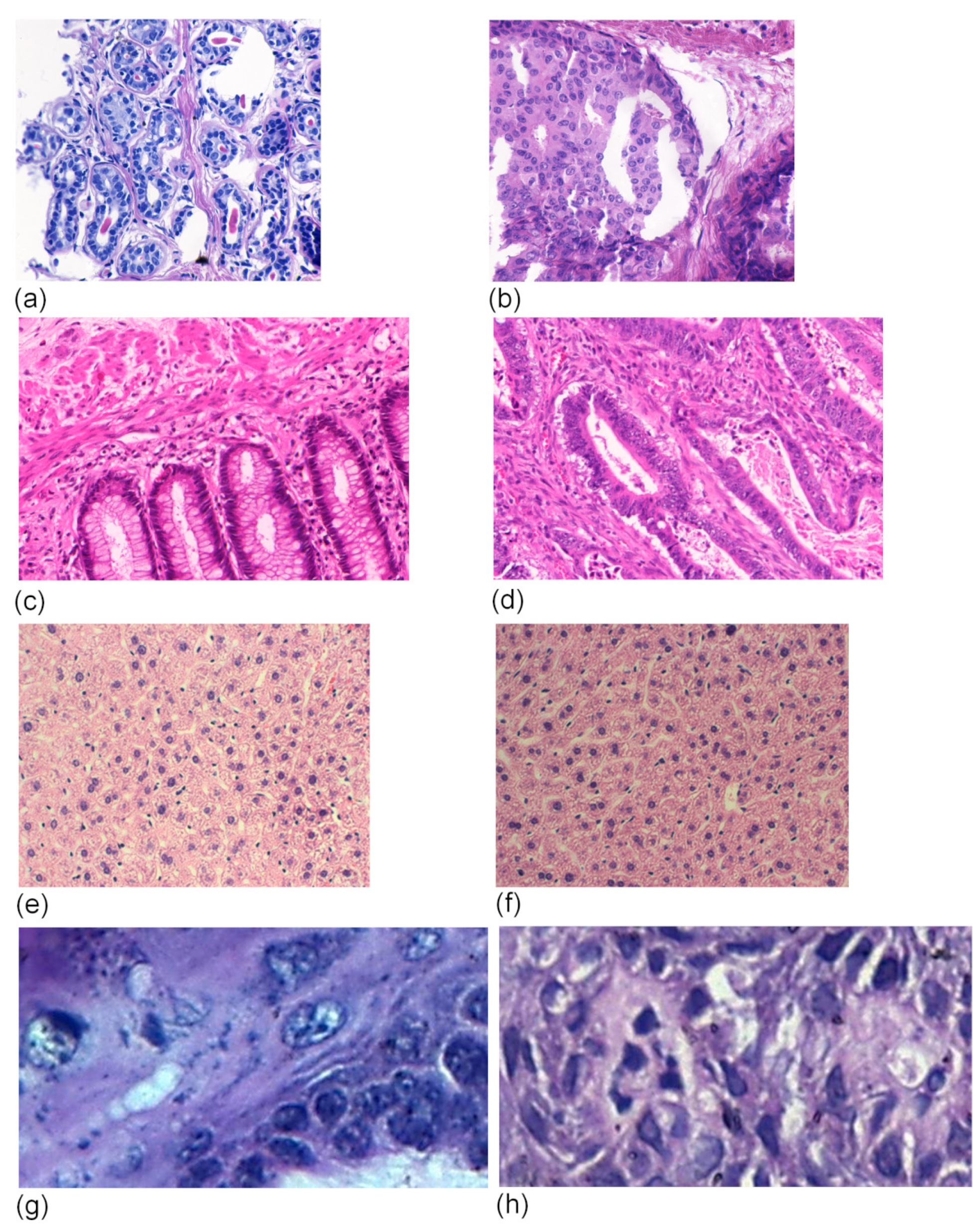 Entropy 26 00034 g002