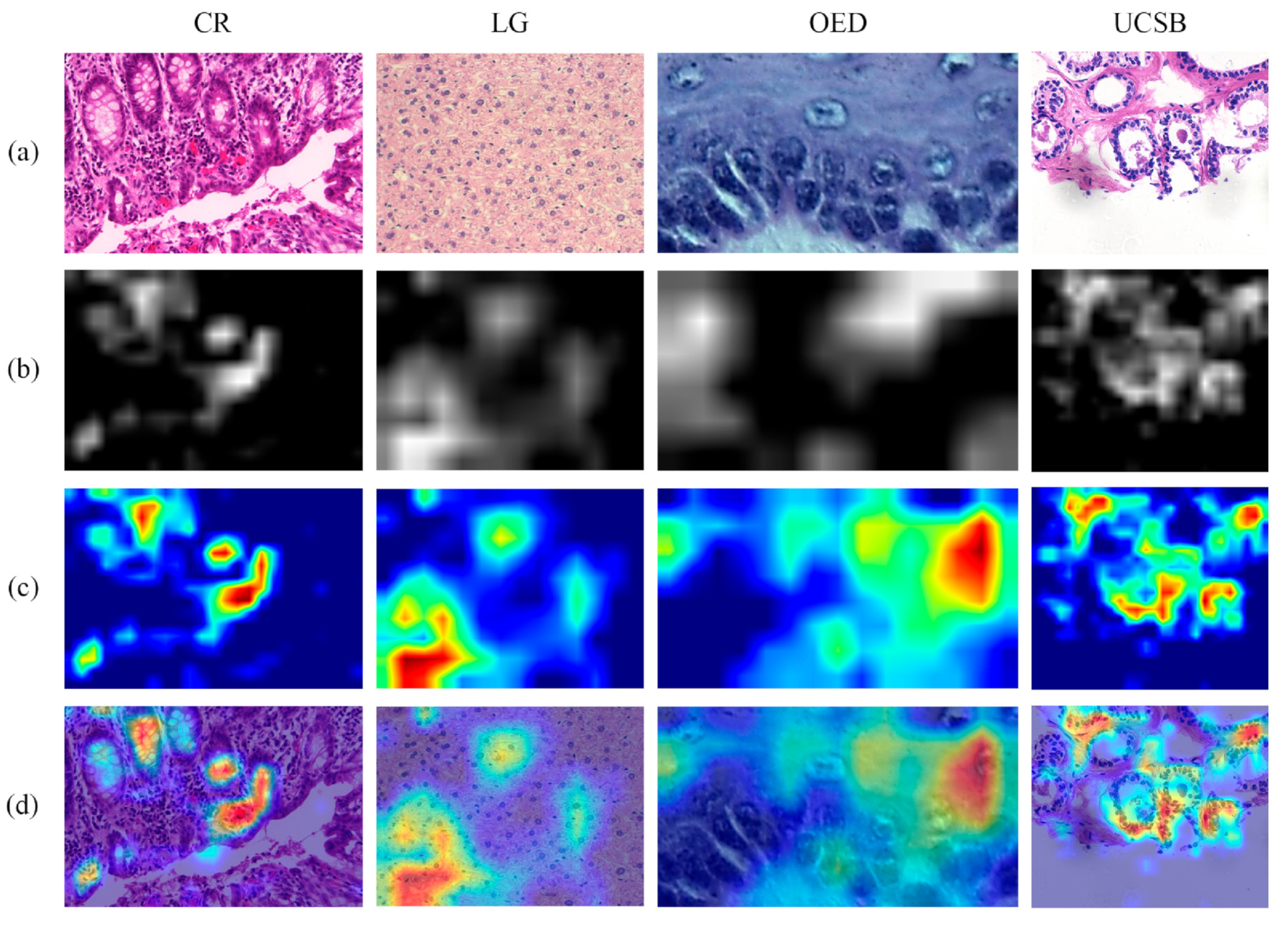 Entropy 26 00034 g003