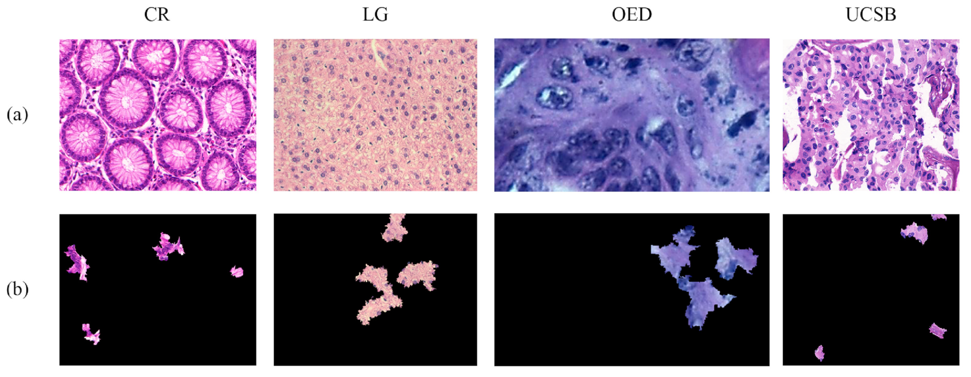 Entropy 26 00034 g004