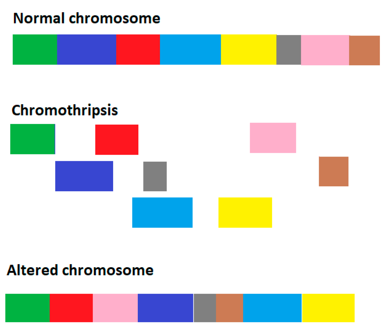 Entropy 26 00037 g001