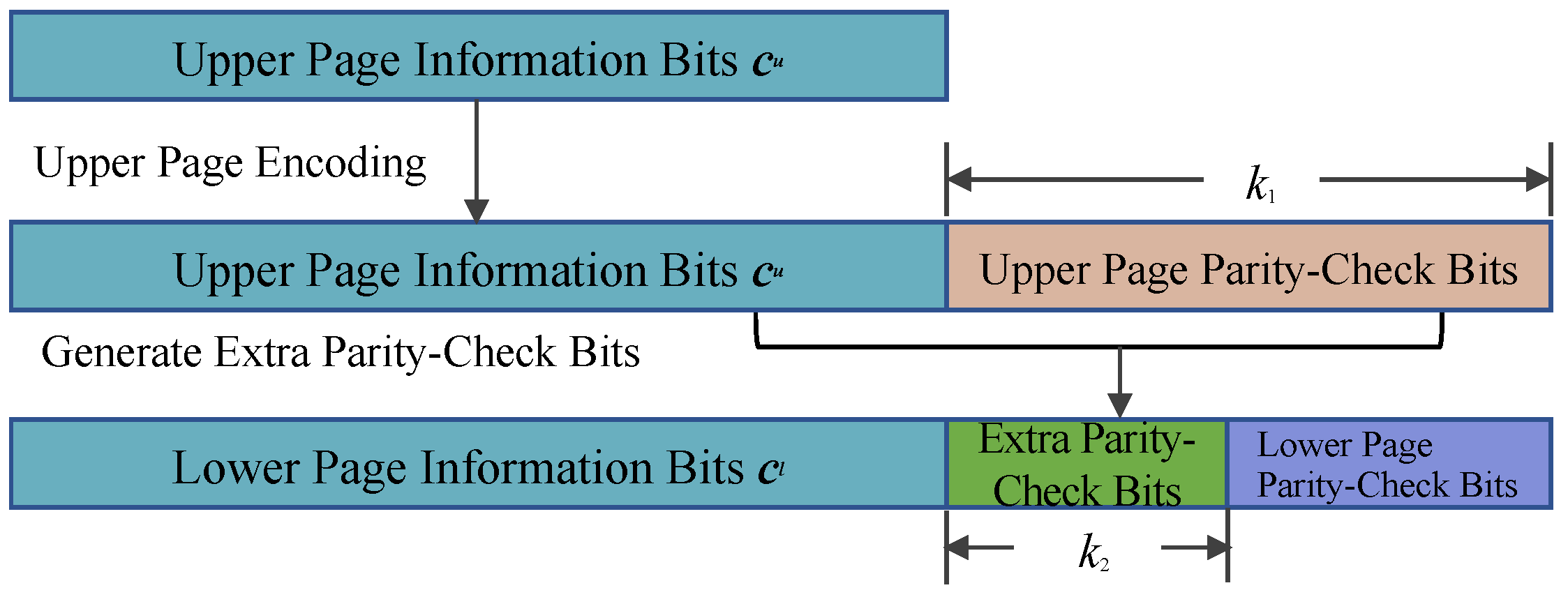 Entropy 26 00054 g003