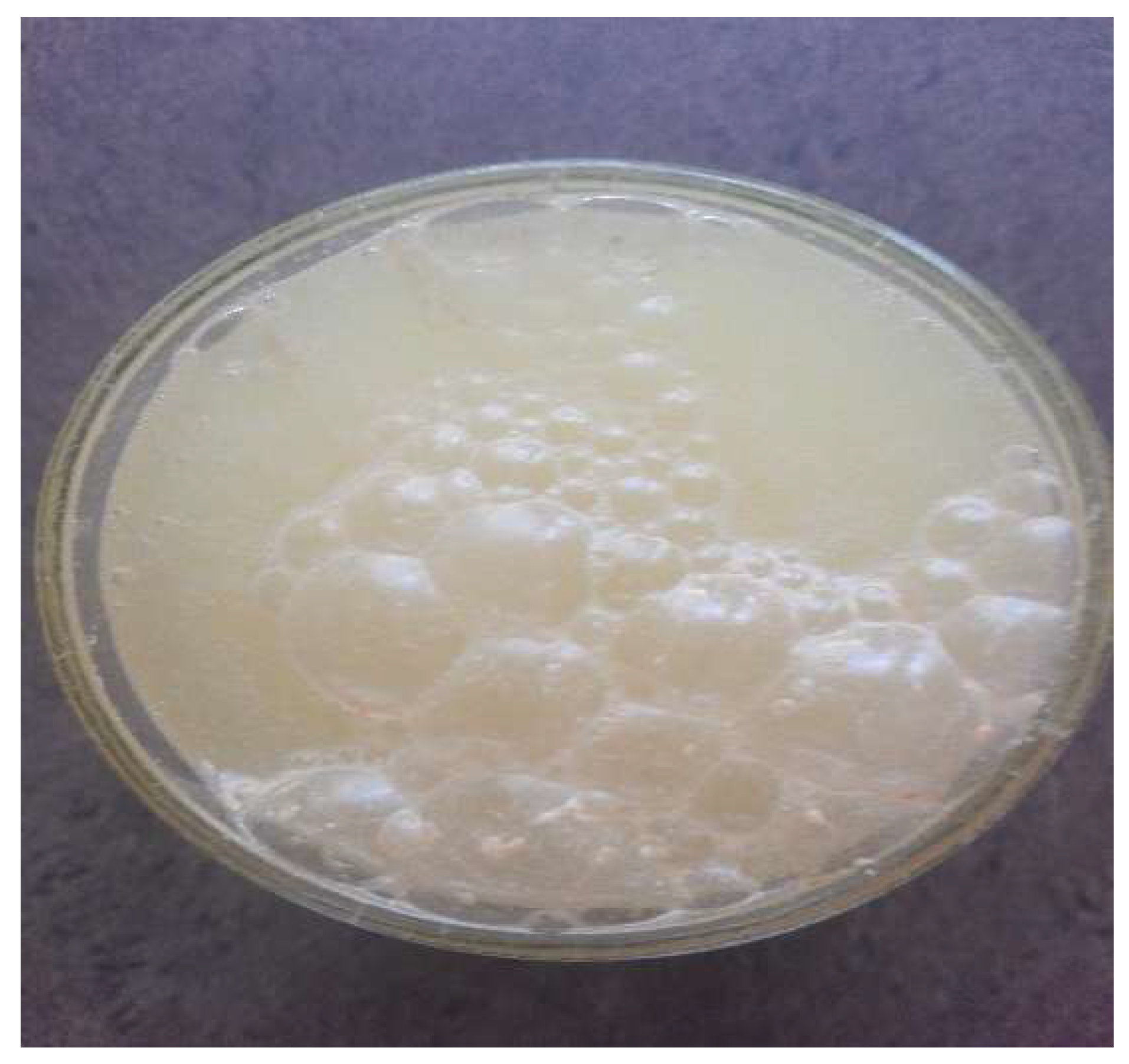 Entropy 26 00076 g001