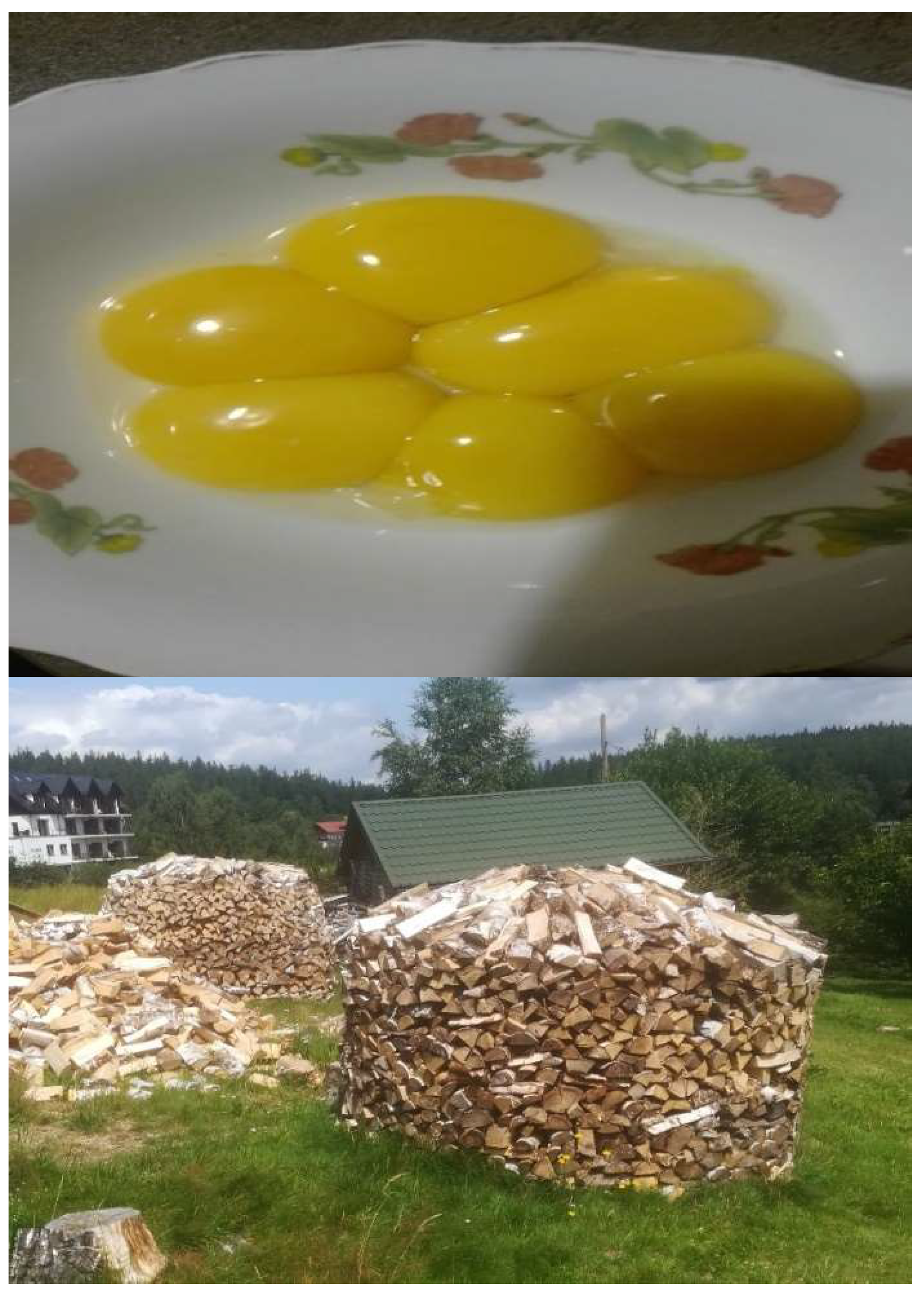 Entropy 26 00076 g002