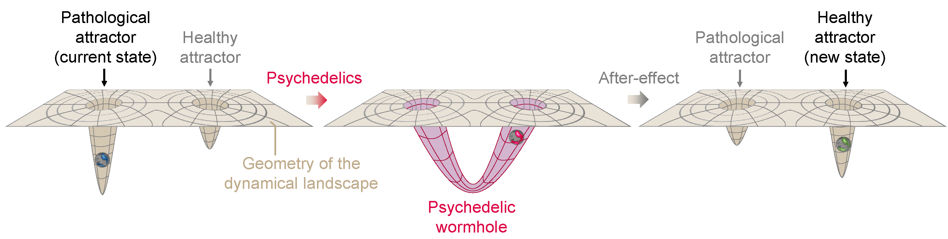 Entropy 26 00090 g006